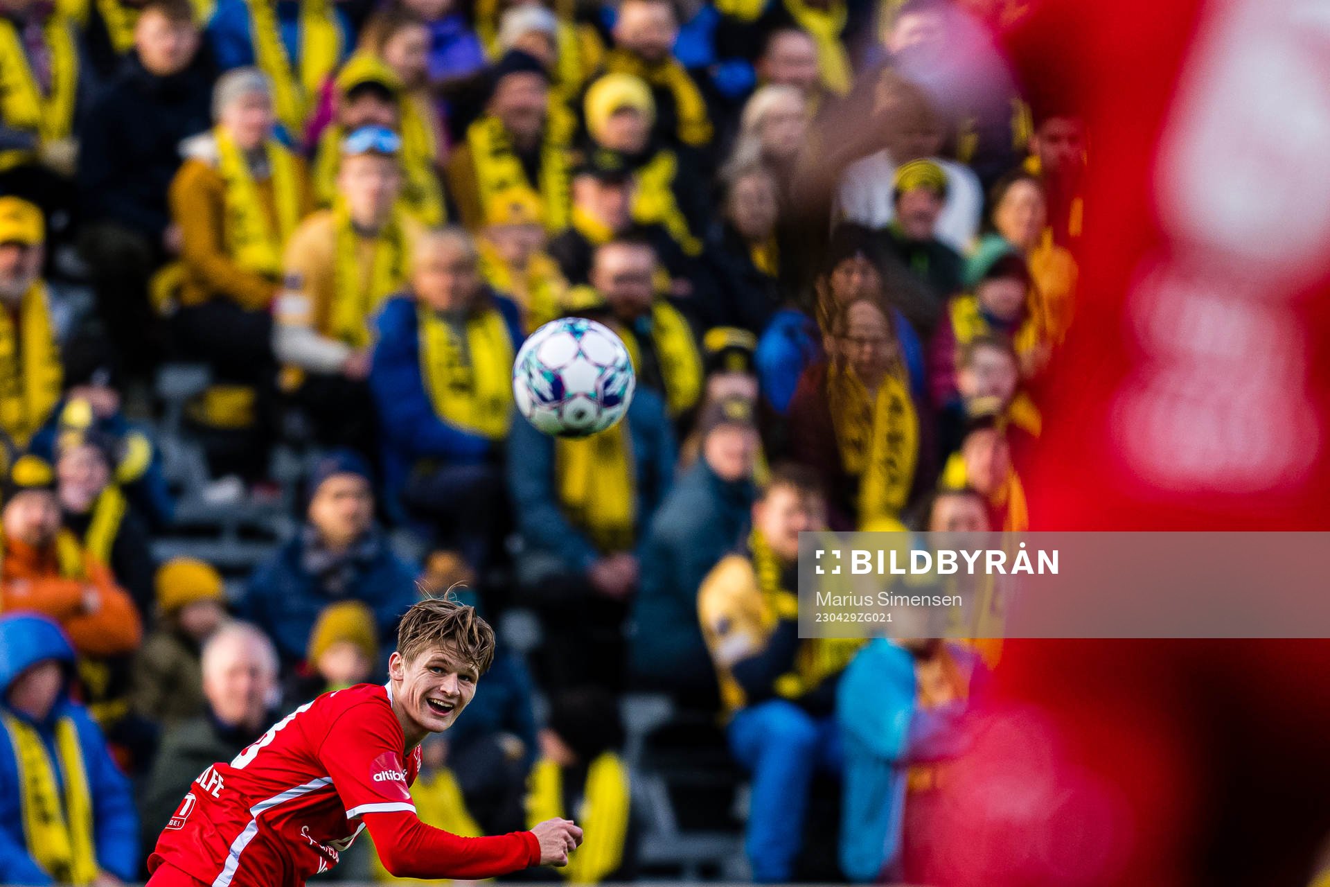 David Møller Wolfe of Brann