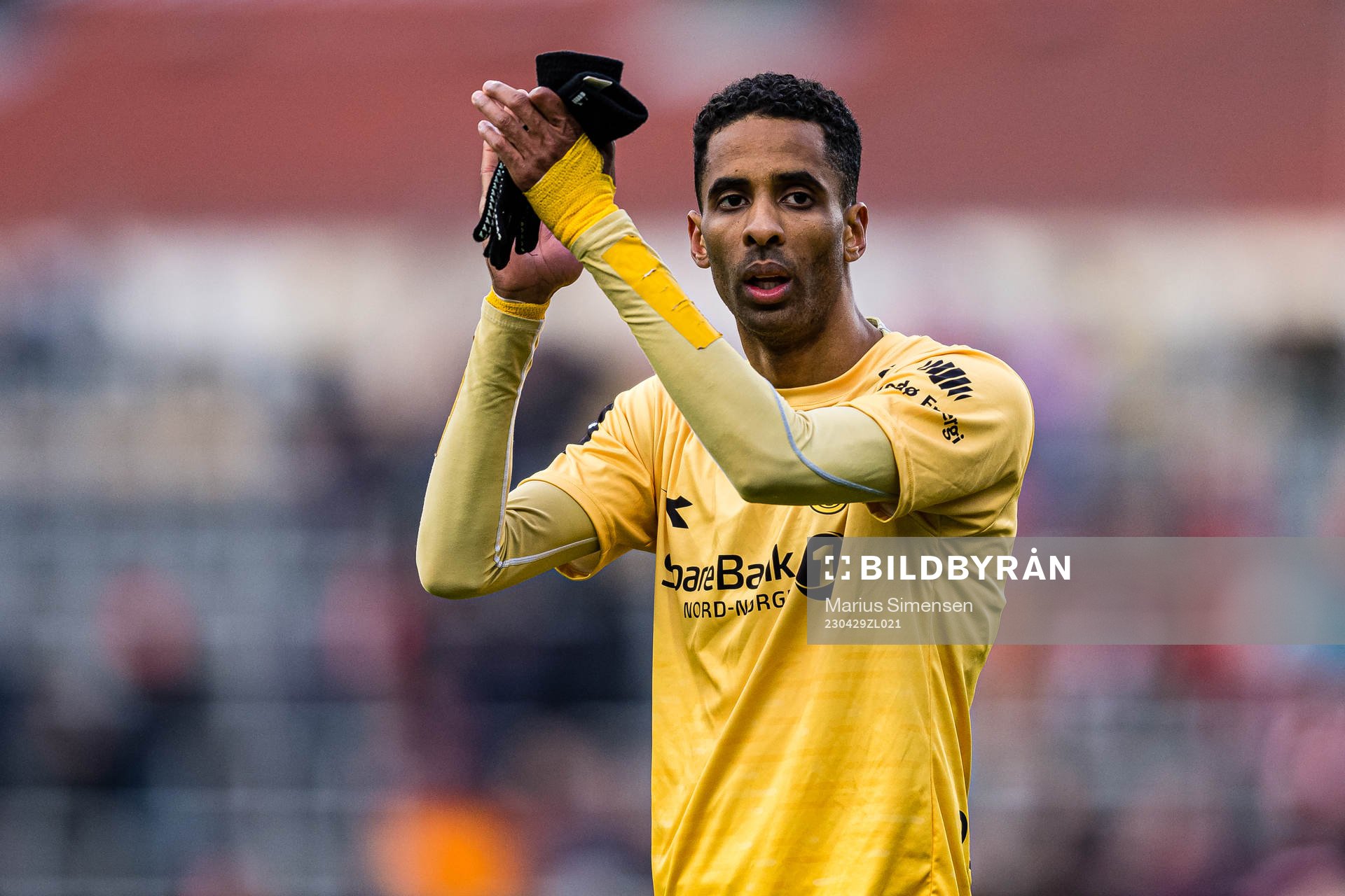 Amahl Pellegrino of Bodø/Glimt