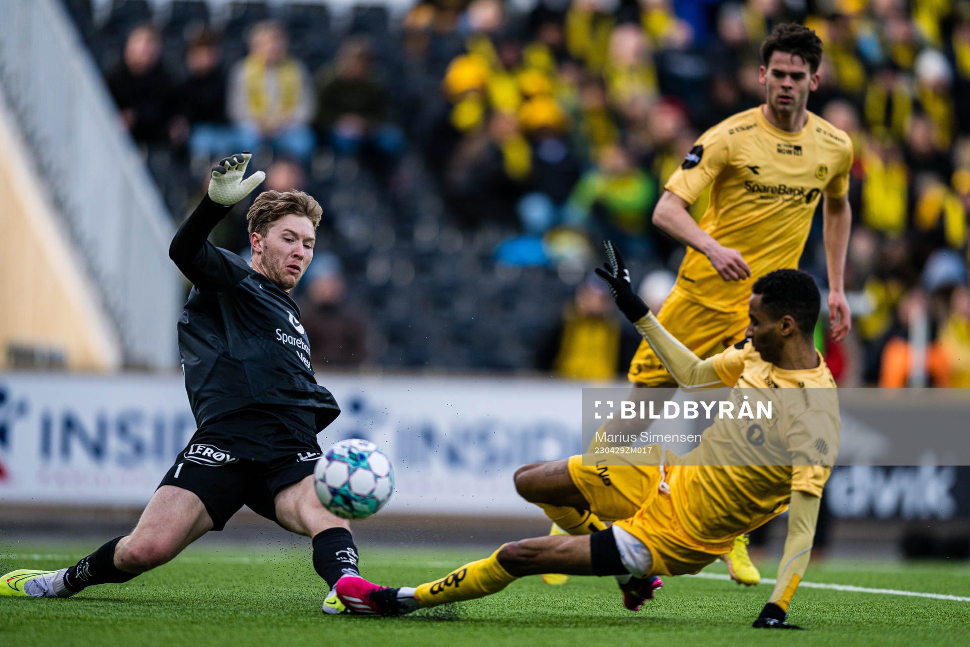 Mathias Dyngeland of Brann and Amahl Pellegrino of