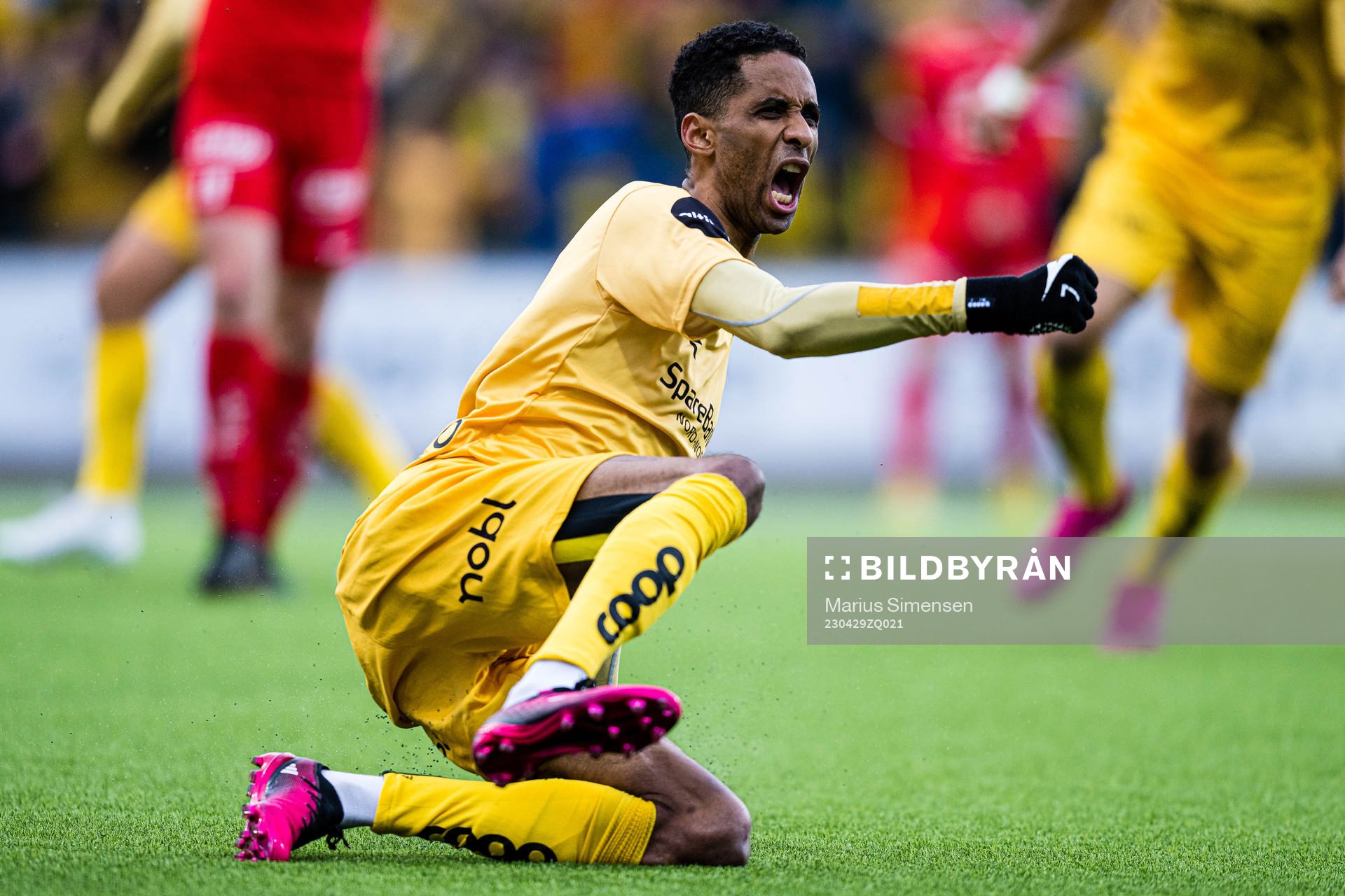 Amahl Pellegrino of Bodø/Glimt celebrates