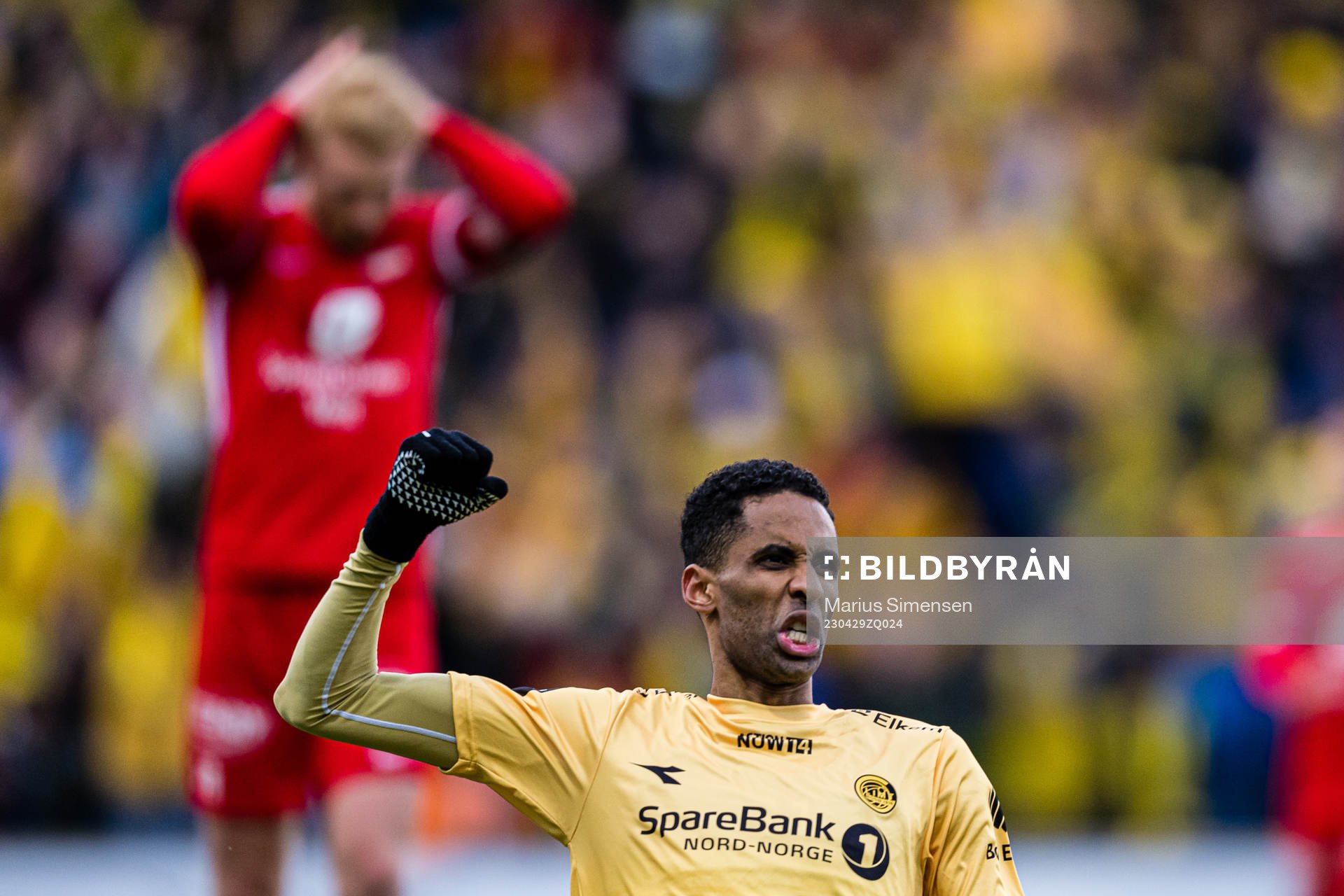 Amahl Pellegrino of Bodø/Glimt celebrates