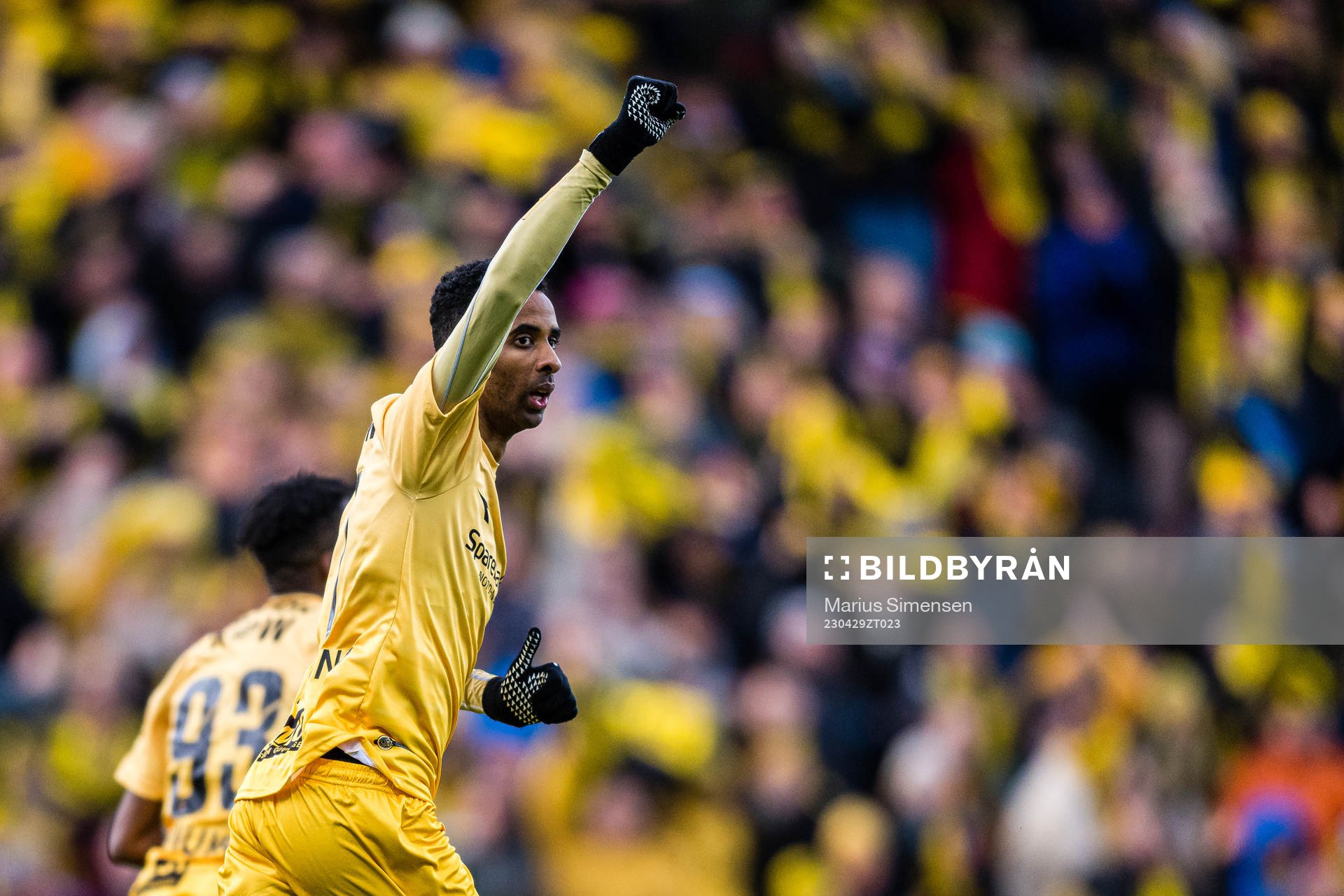 Amahl Pellegrino of Bodø/Glimt celebrates