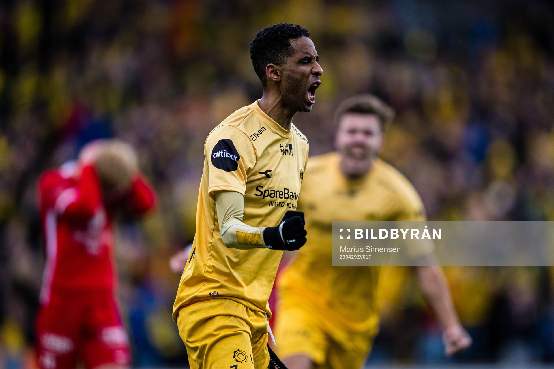 Amahl Pellegrino of Bodø/Glimt celebrates after scoring the 2-2 goal during the Eliteserien match between Bodø/Glimt and Brann on April 29, 2023 in Bodø.