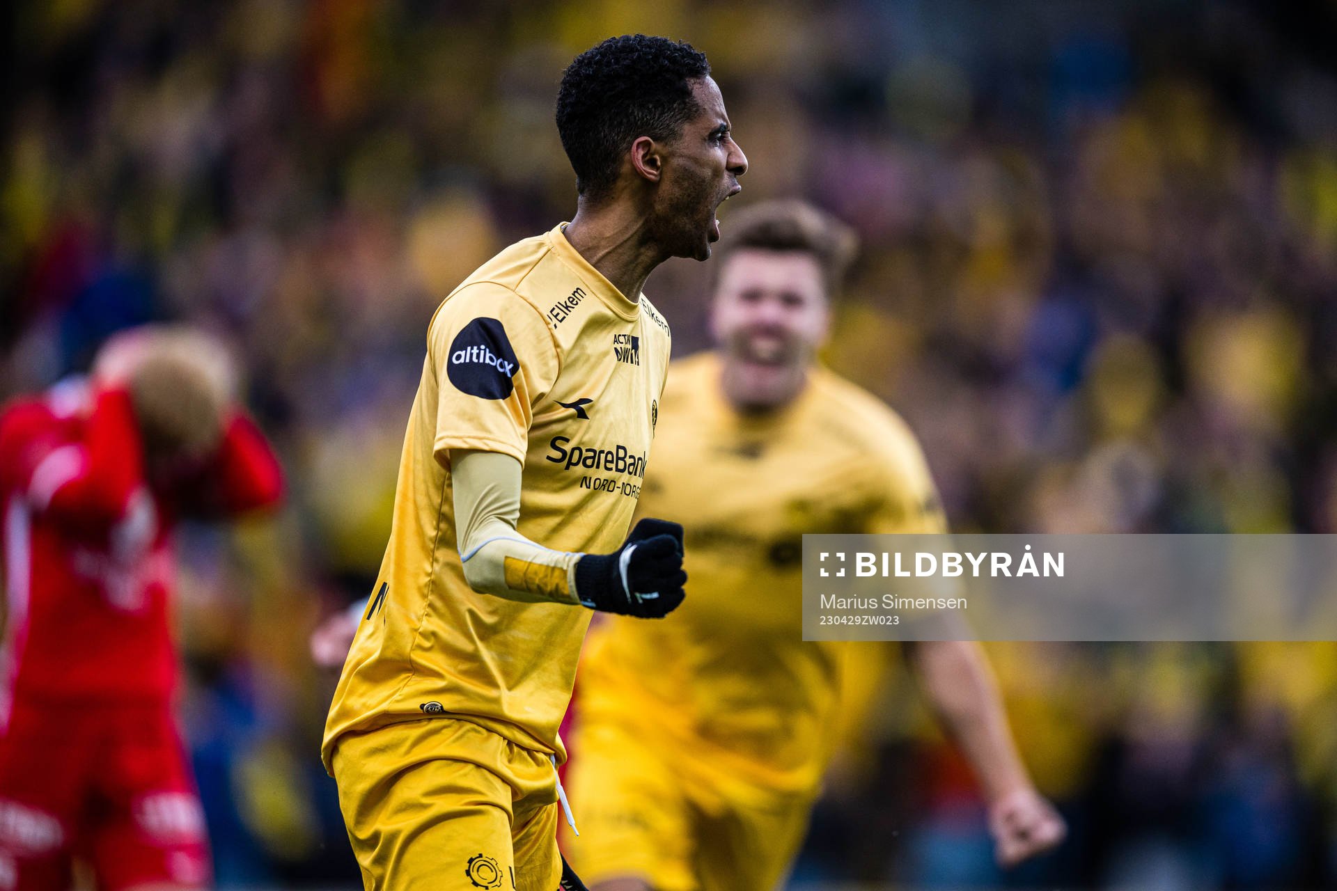 Amahl Pellegrino of Bodø/Glimt celebrates