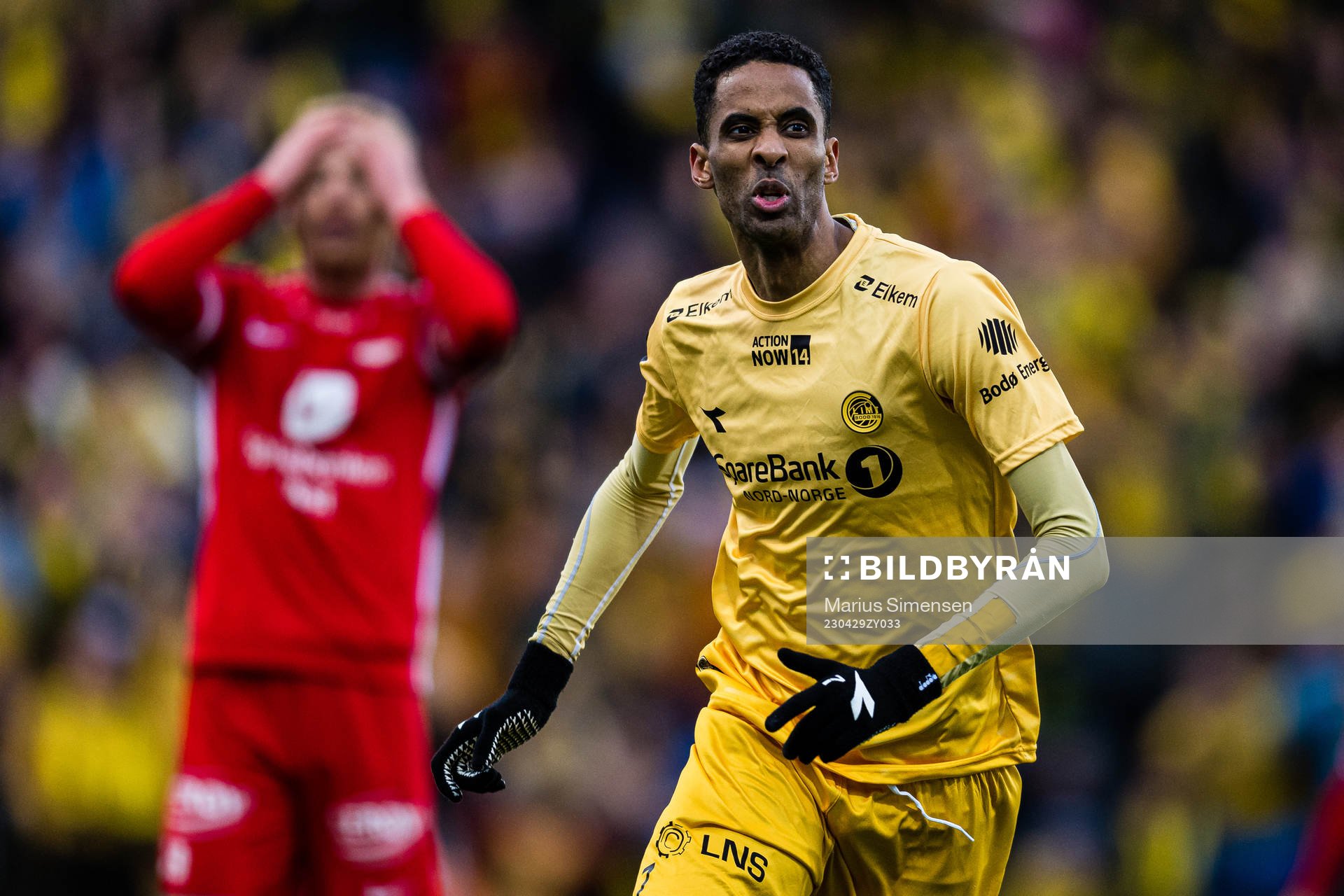 Amahl Pellegrino of Bodø/Glimt celebrates after scoring the 2-2 goal during the Eliteserien match between Bodø/Glimt and Brann on April 29, 2023 in Bodø.