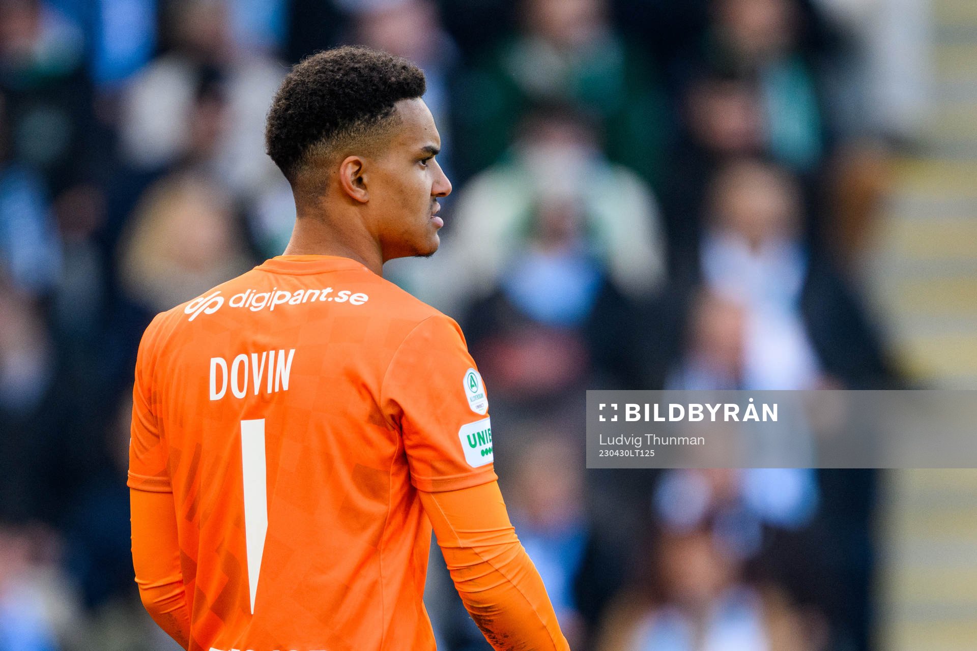 Hammarbys målvakt Oliver Dovin