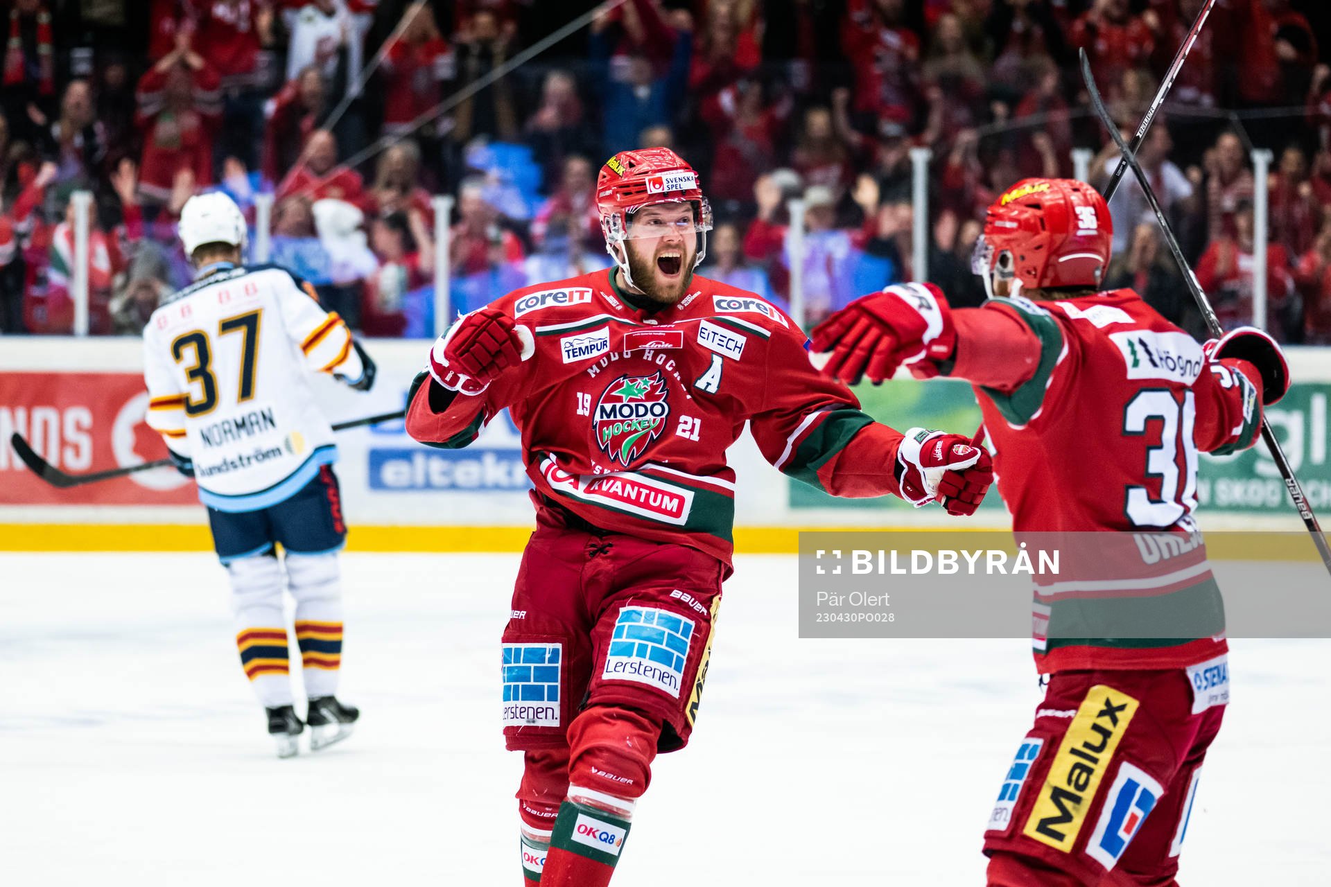 Modos Oscar Pettersson jublar