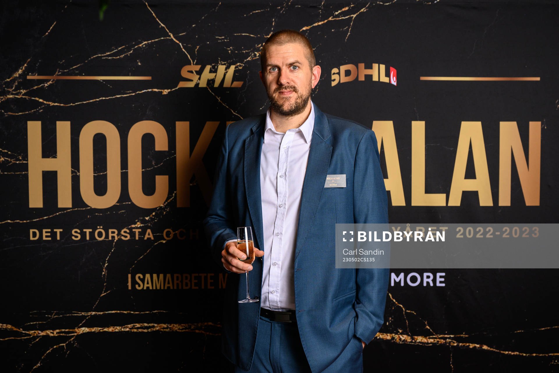 Nicklas Mether, SHL