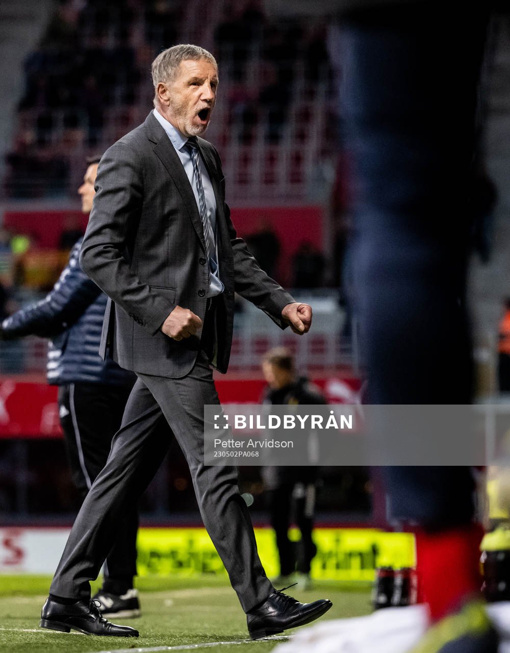 Helsingborgs tränare Stuart Baxter jublar