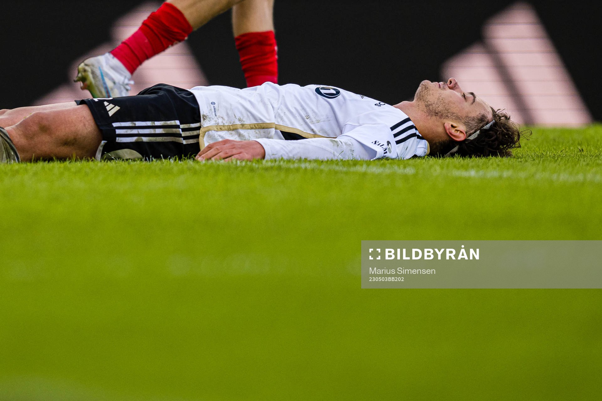 Agon Sadiku of Rosenborg reacts