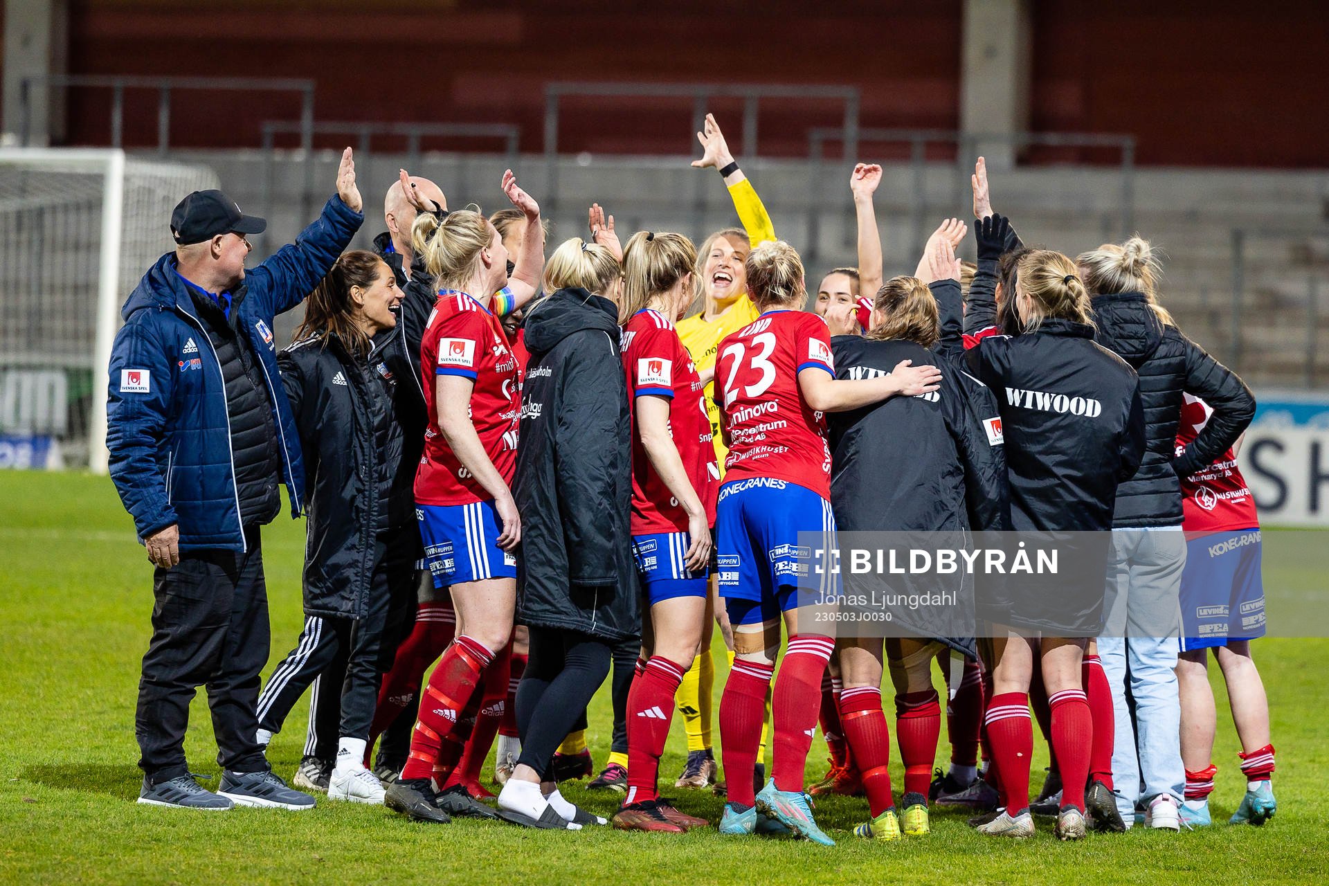 Vittsjös spelare jublar