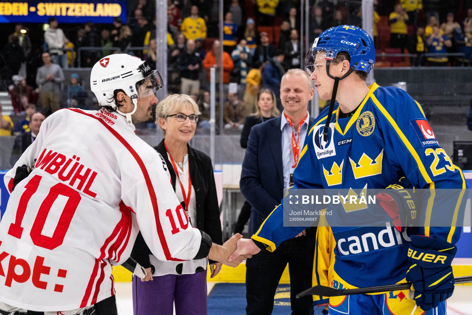 Andres Ambühl of Switzerland and Lucas Raymondof Sweden