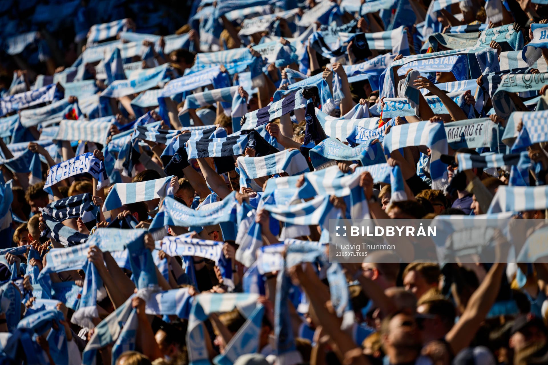 Malmö FFs supportrar med halsdukar
