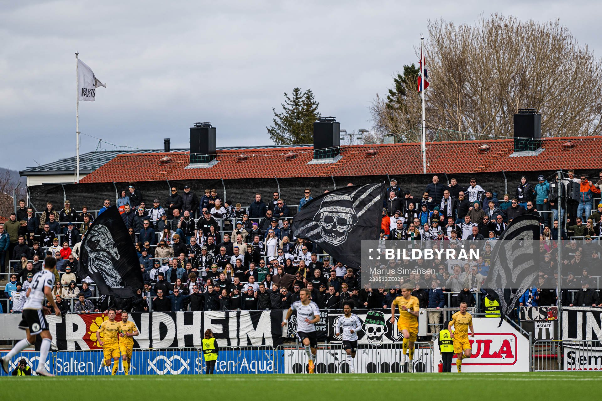 Spectators in the stands