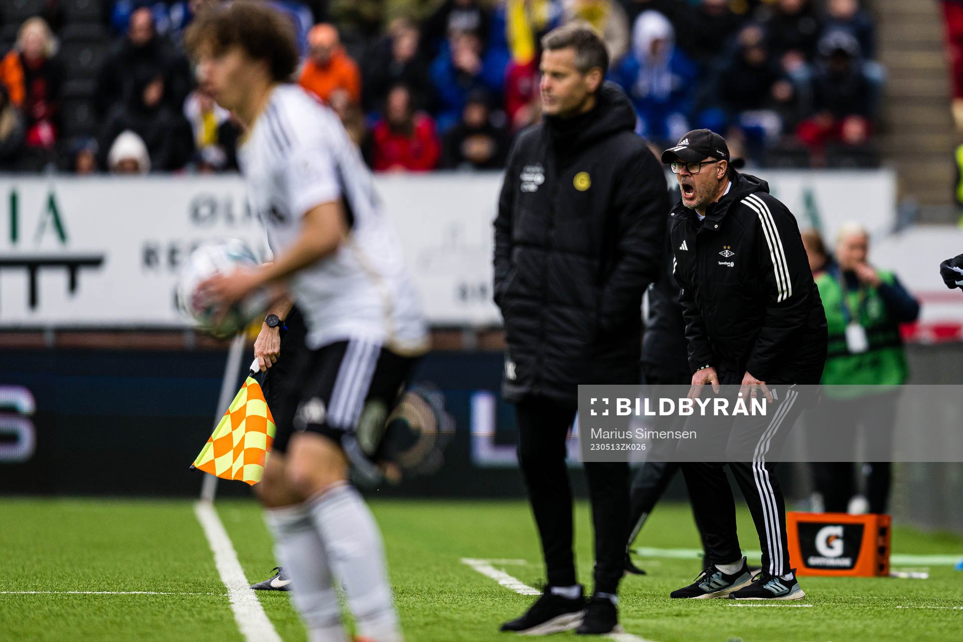 Kjetil Rekdal, head coach of Rosenborg