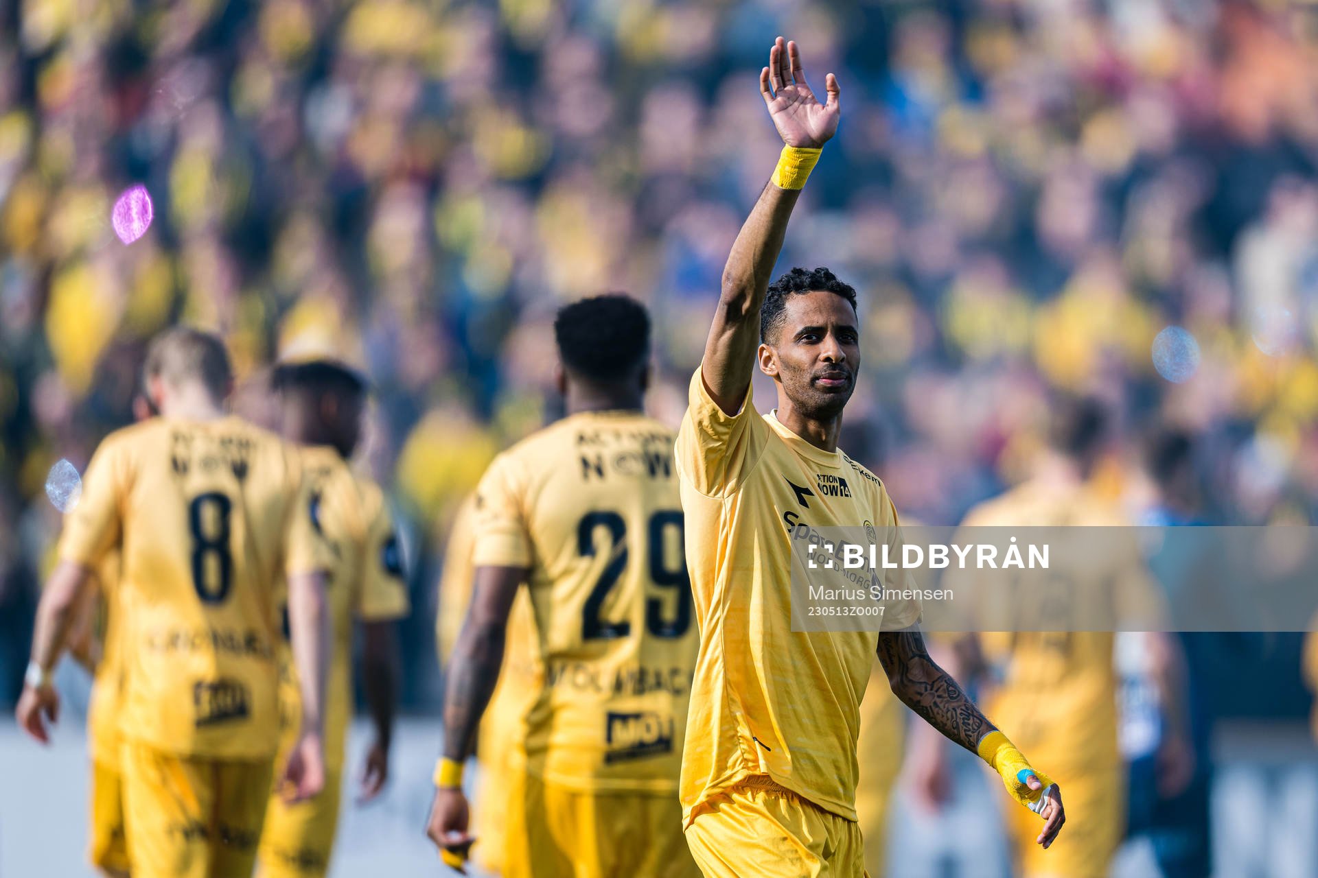 Amahl Pellegrino of Bodø/Glimt