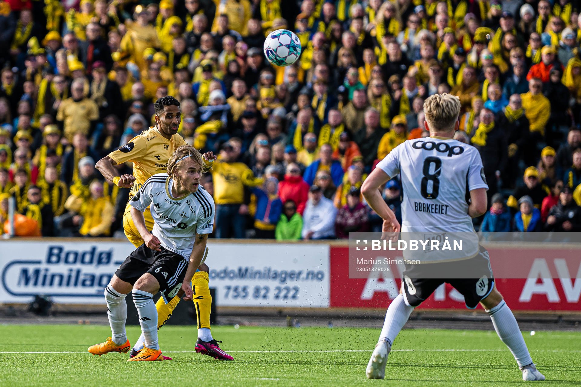 Amahl Pellegrino of Bodø/Glimt and Santeri Leevi Oliver