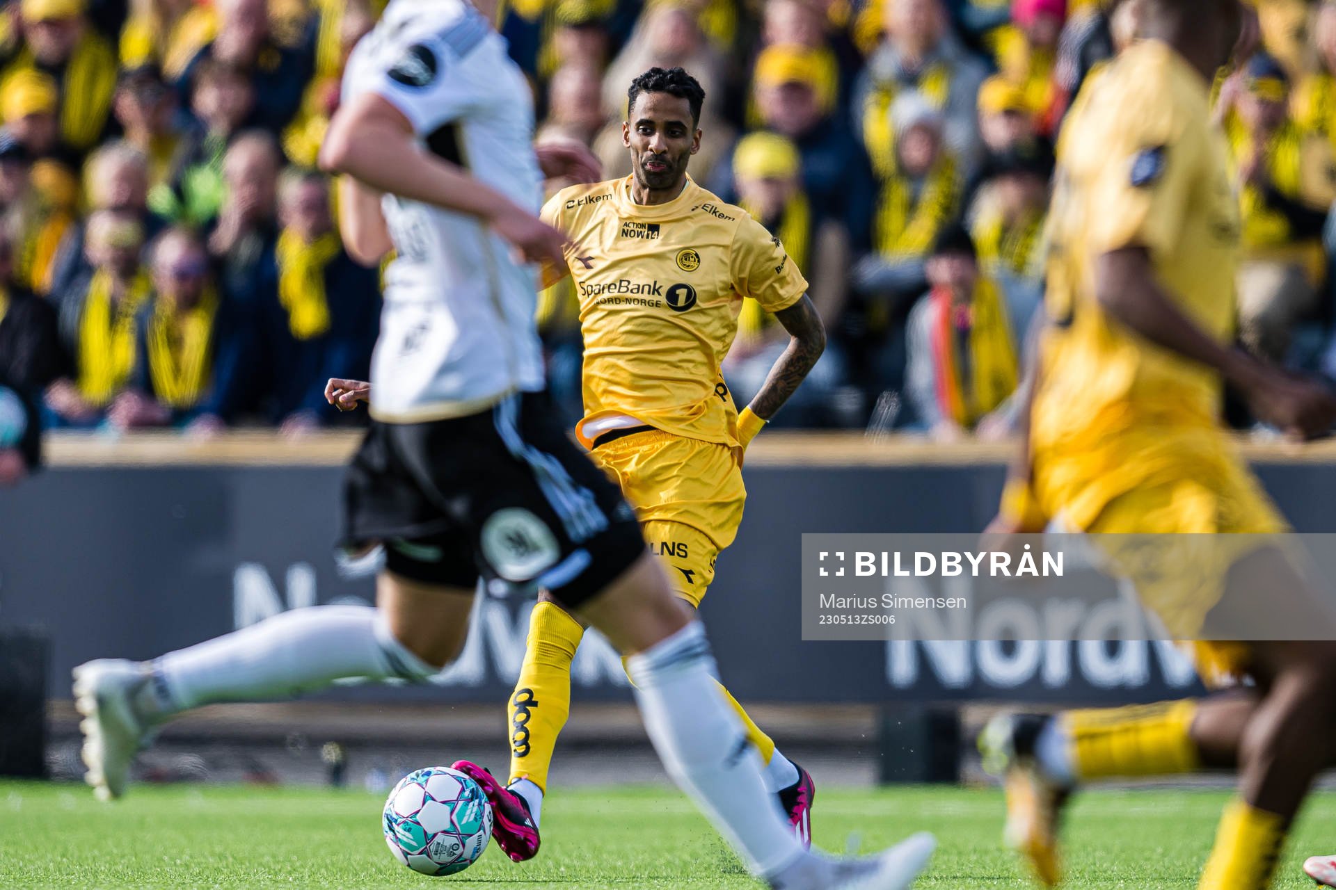 Amahl Pellegrino of Bodø/Glimt