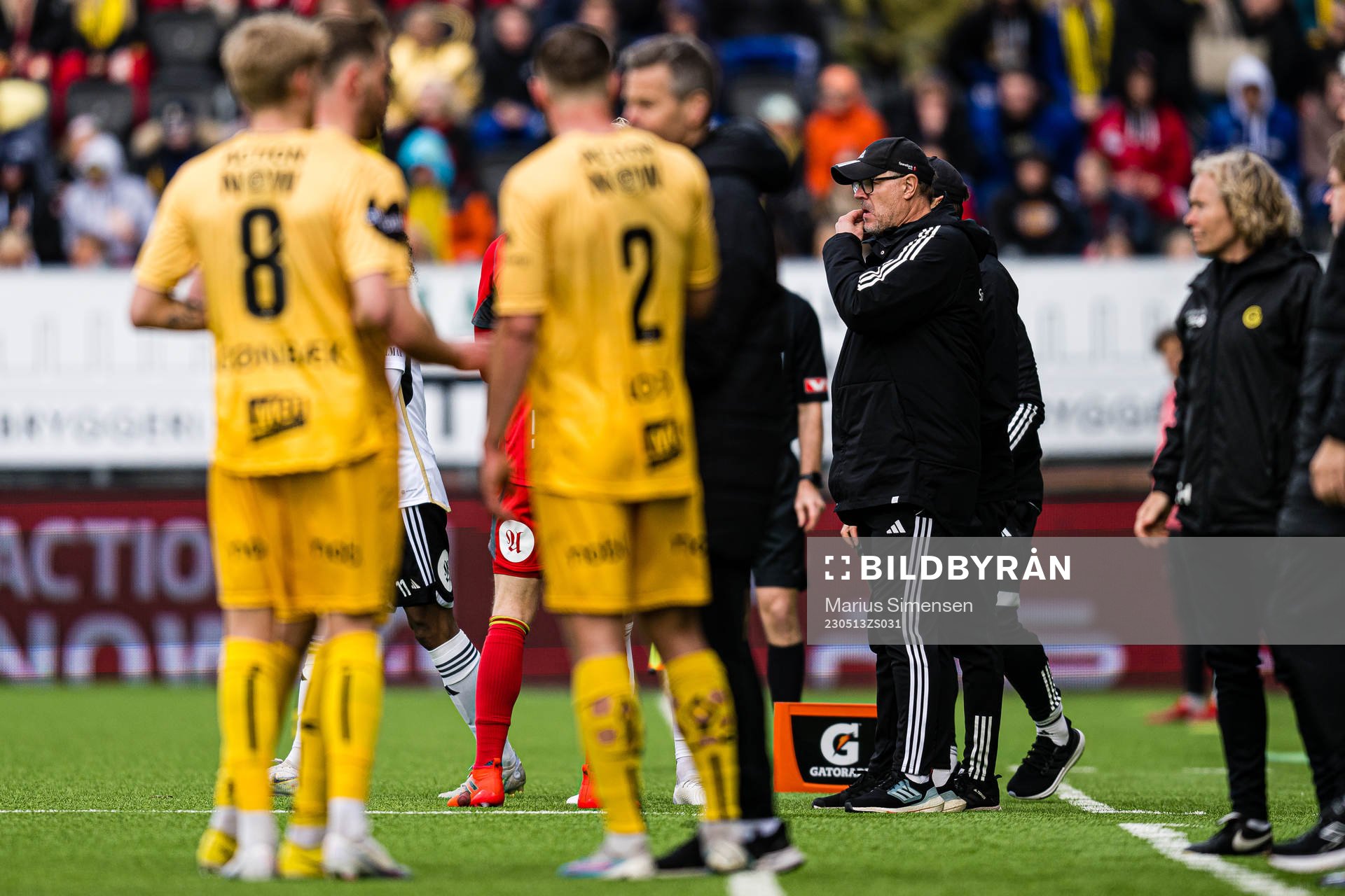 Kjetil Rekdal, head coach of Rosenborg