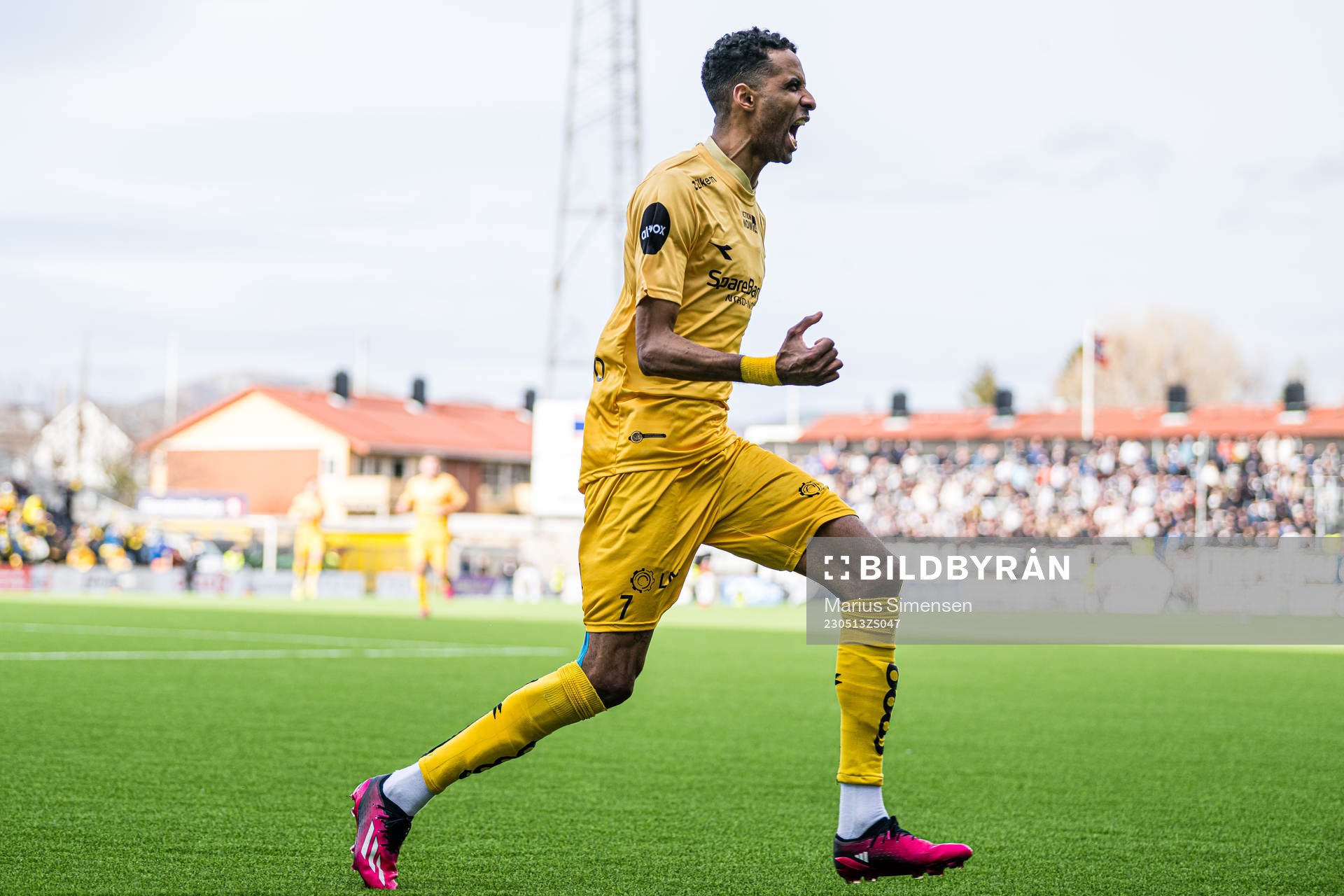 Amahl Pellegrino of Bodø/Glimt