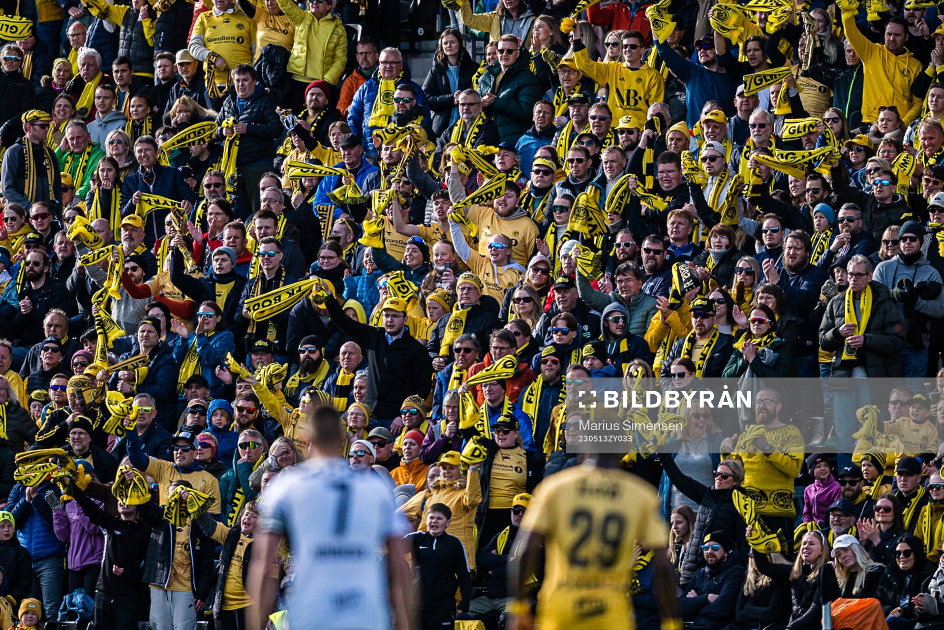 Spectators in the stands
