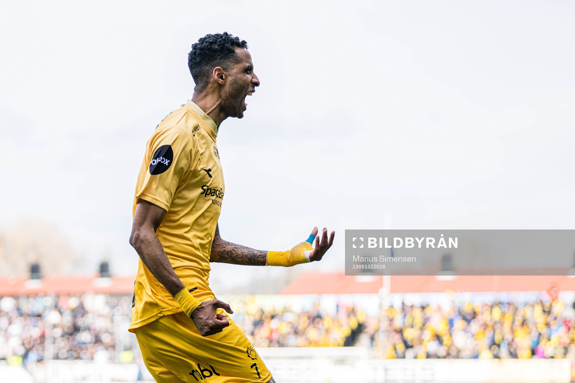 Amahl Pellegrino of Bodø/Glimt