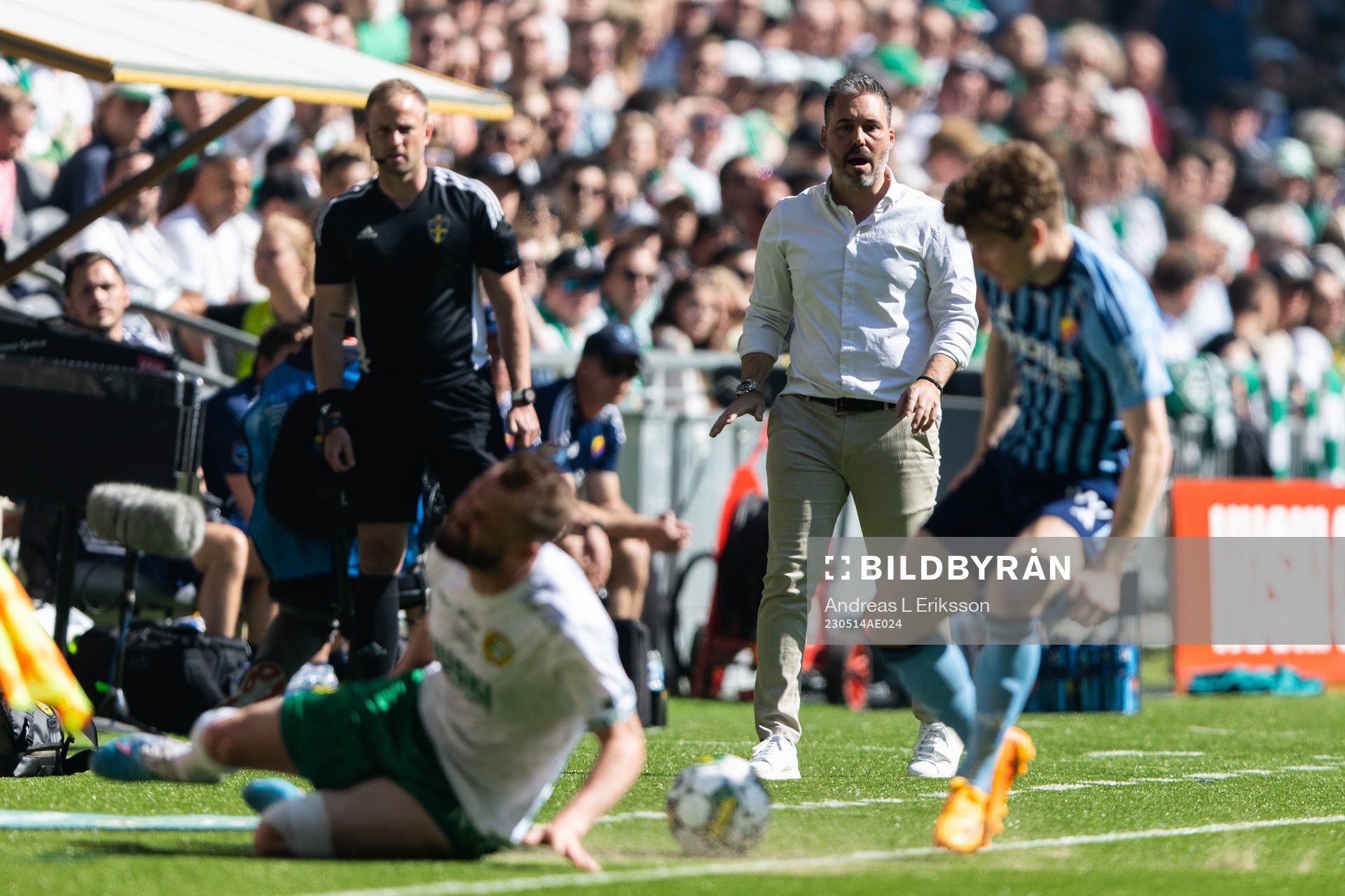 Hammarbys tränare Marti Cifuentes ser hur Hammarbys Mads