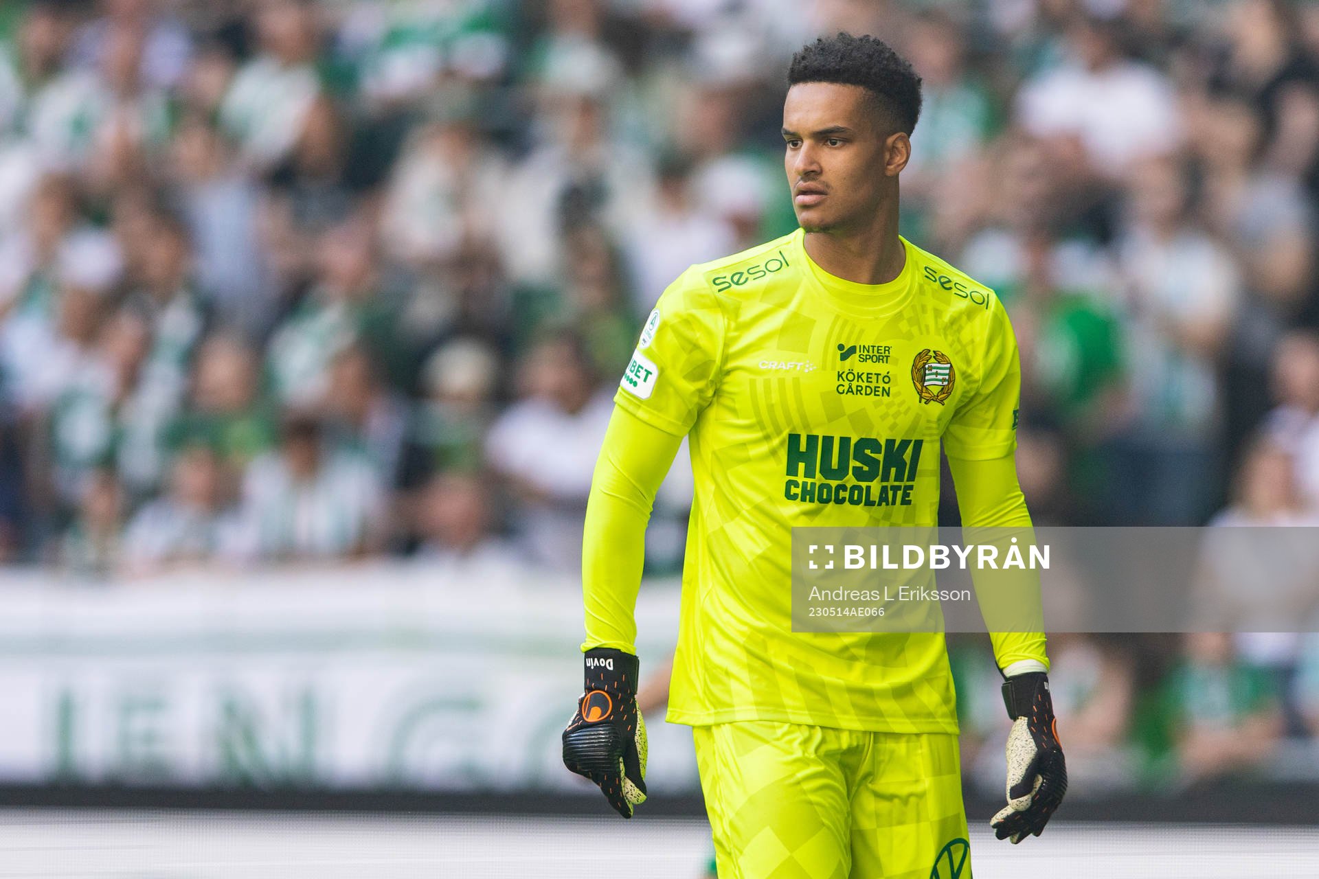 Hammarbys målvakt Oliver Dovin