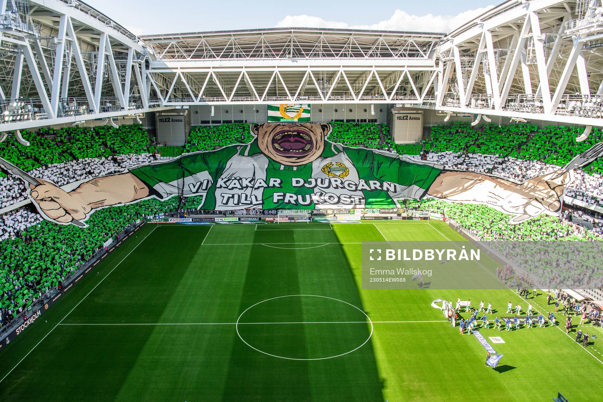 Hammarbys supportrar med tifo