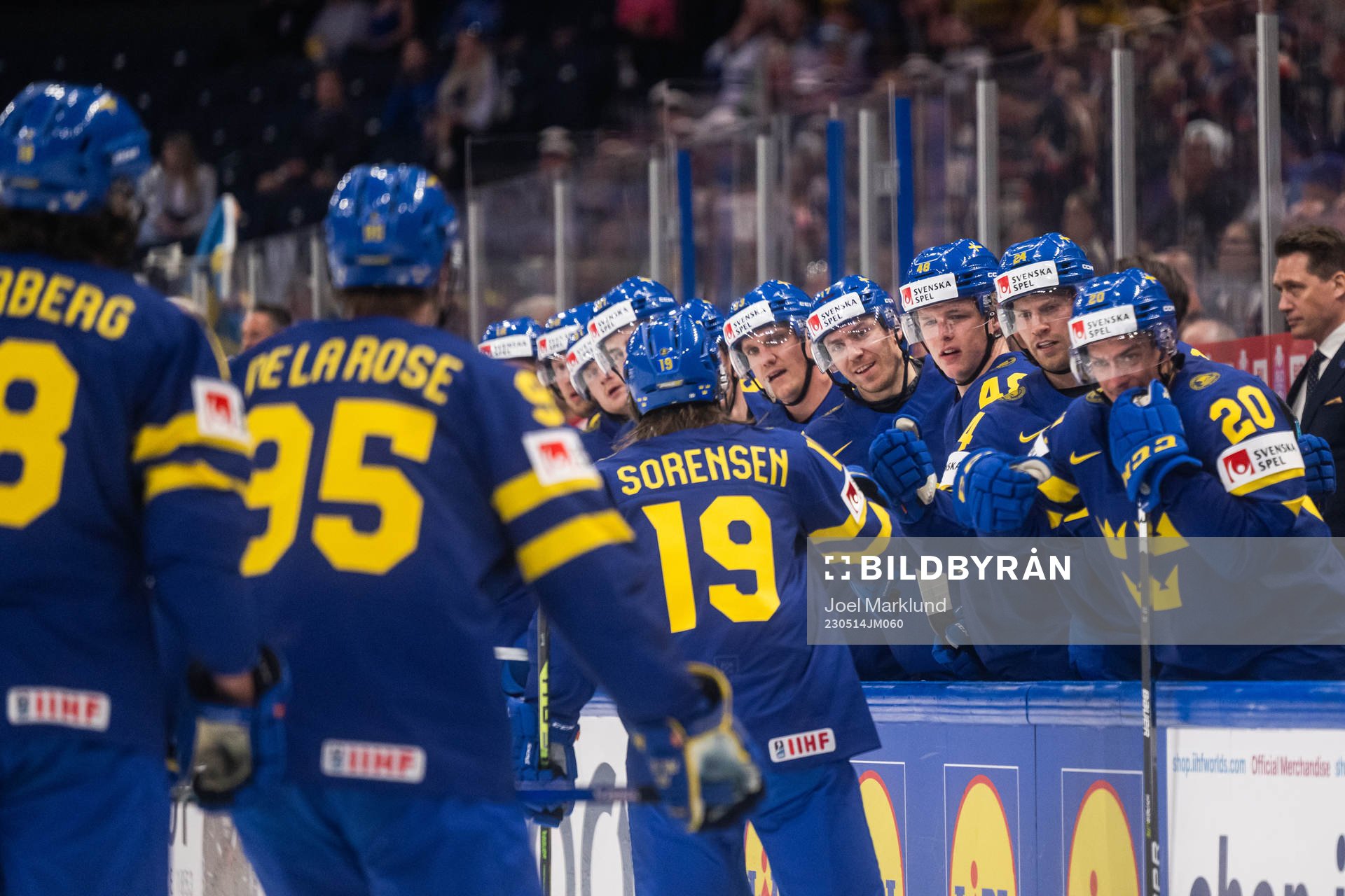 Marcus Sörensen of Sweden celebrates with team mates