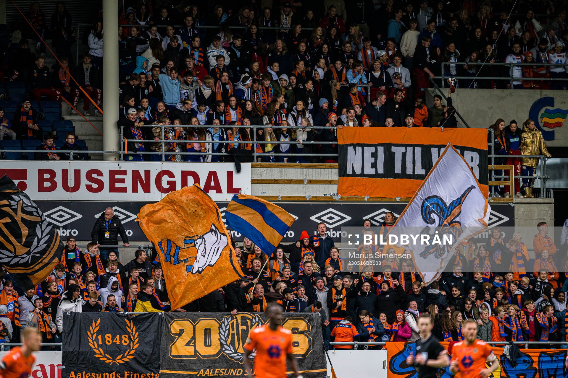 Spectators in the stands