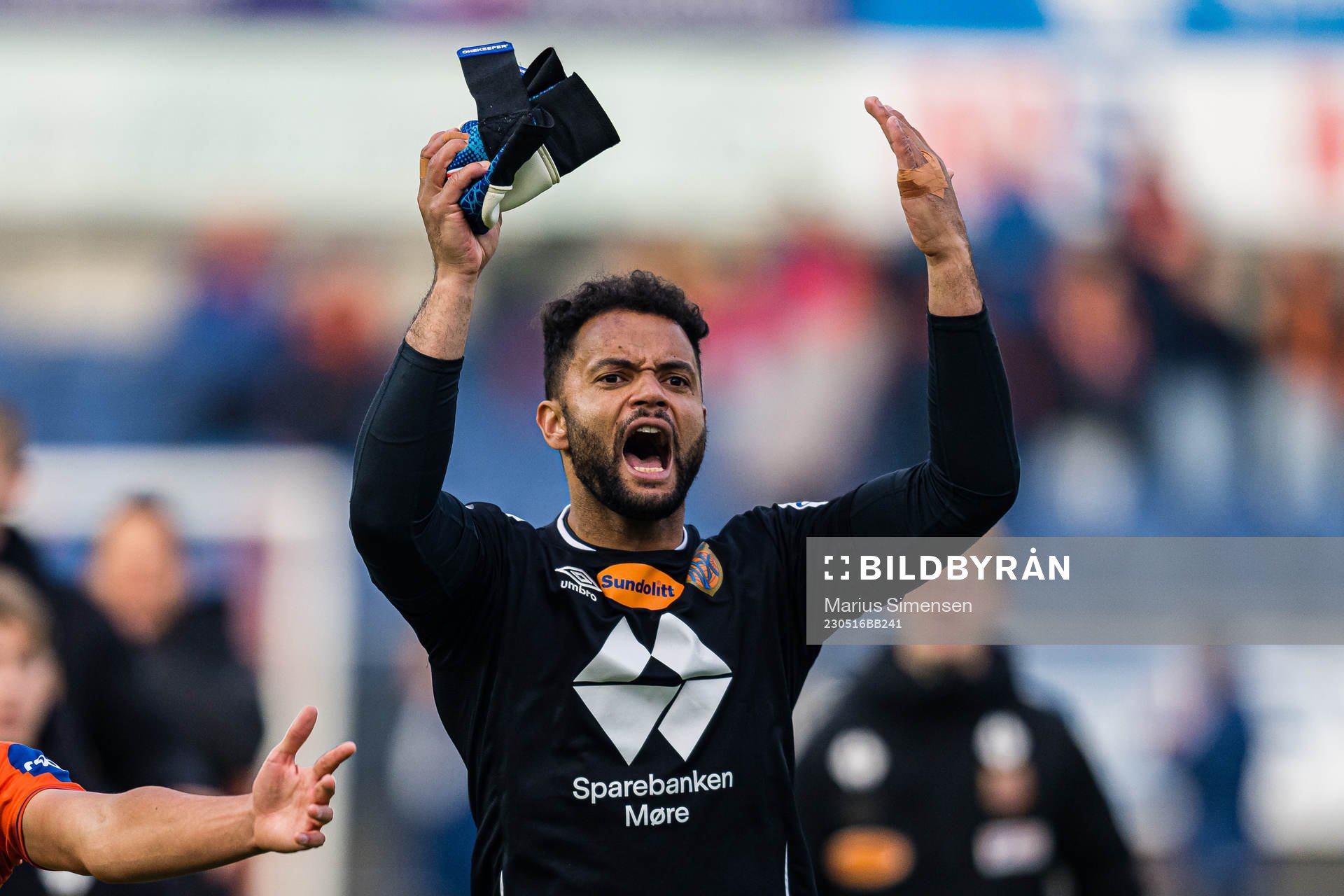 Sten Michael Grytebust of Aalesund celebrates