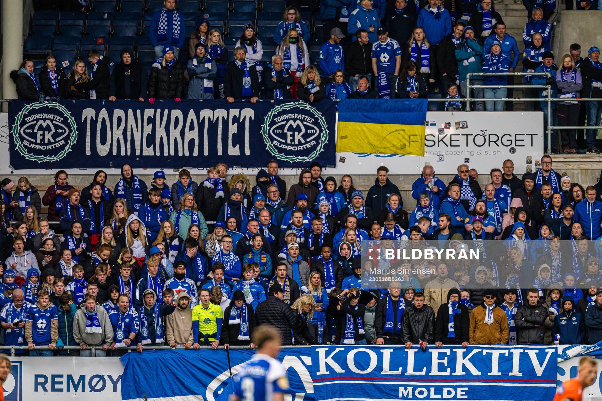 Spectators in the stands