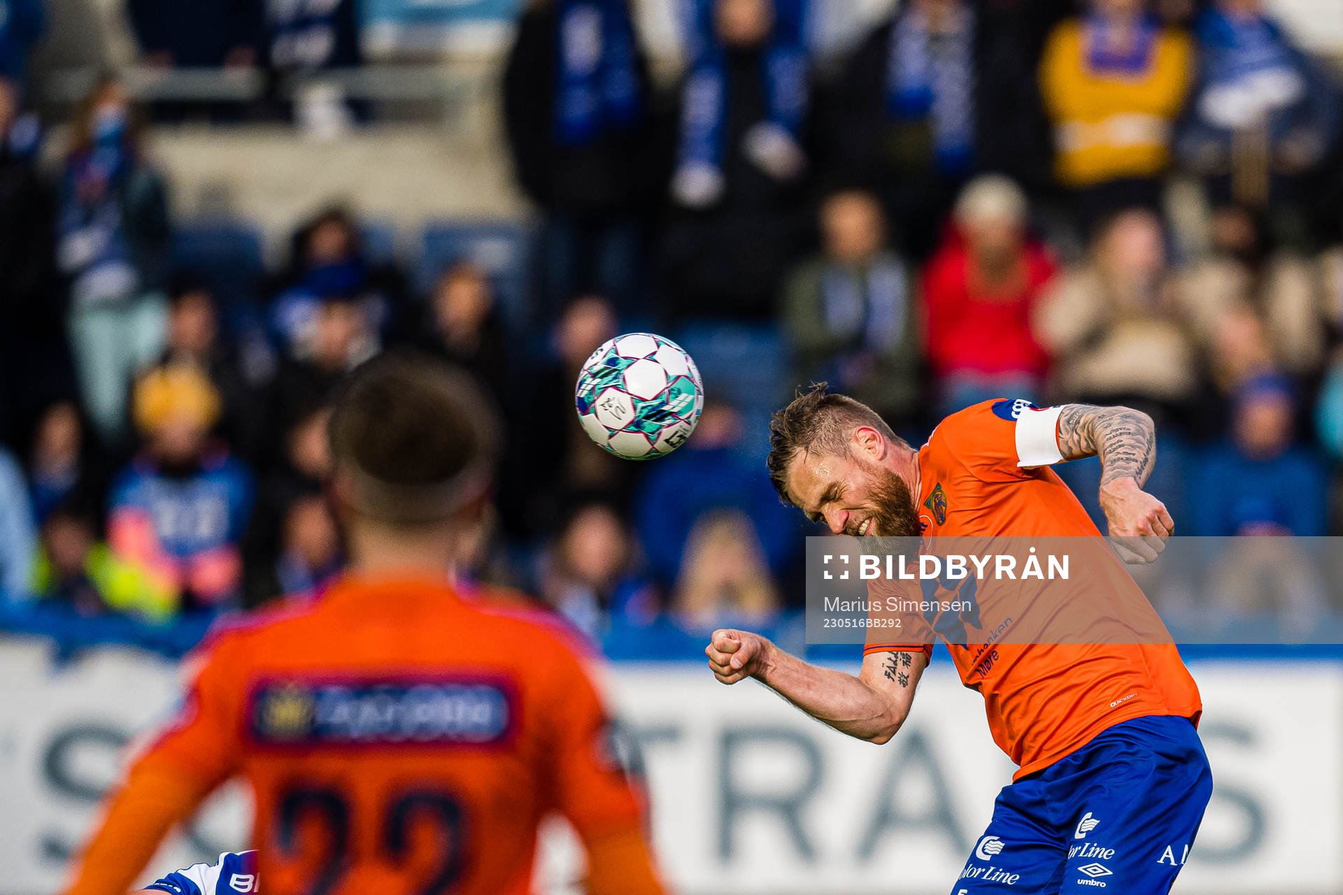 David Fällman of Aalesund
