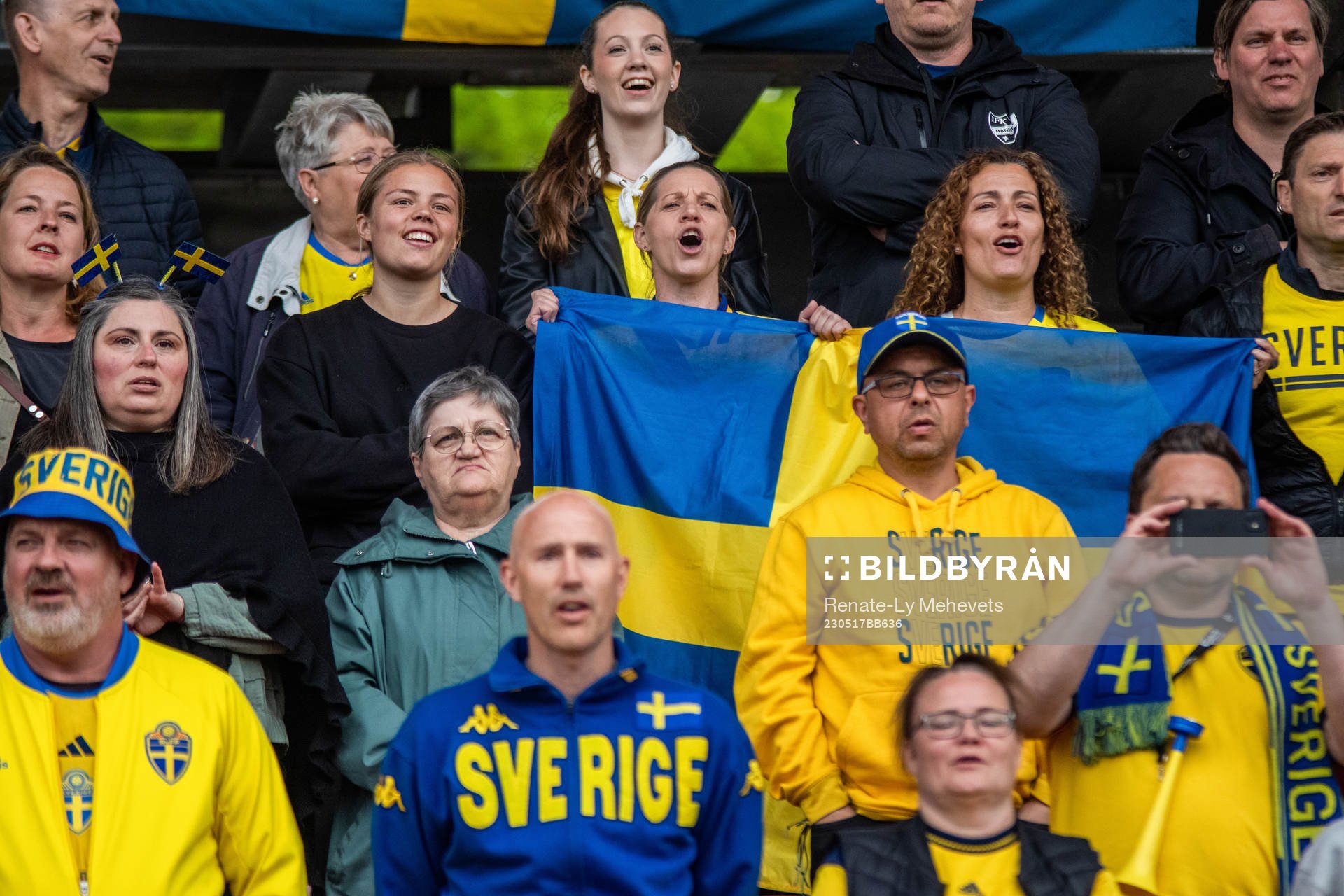 Fans of Sweden