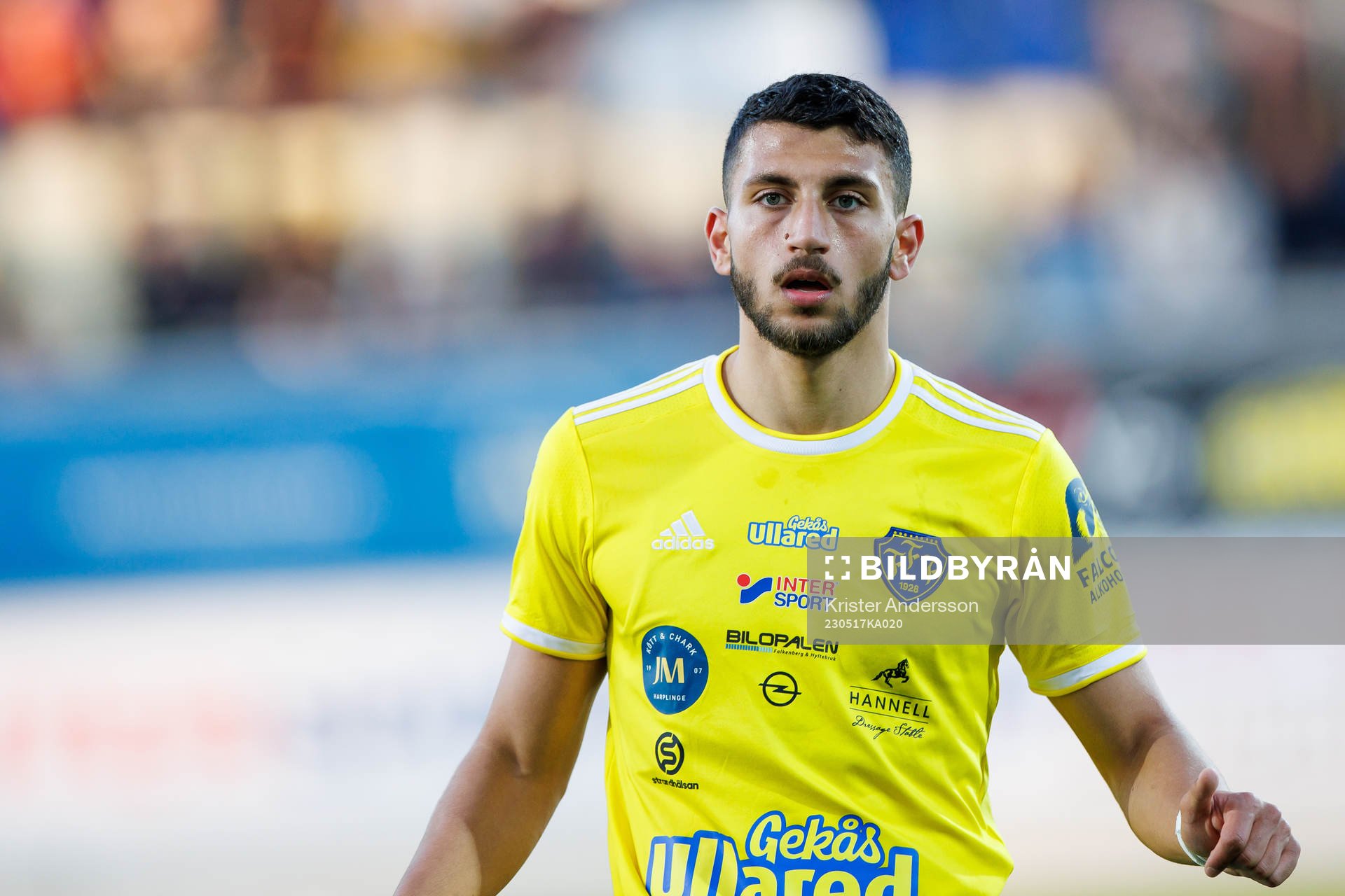 Falkenbergs Leonardo Farah Shahin