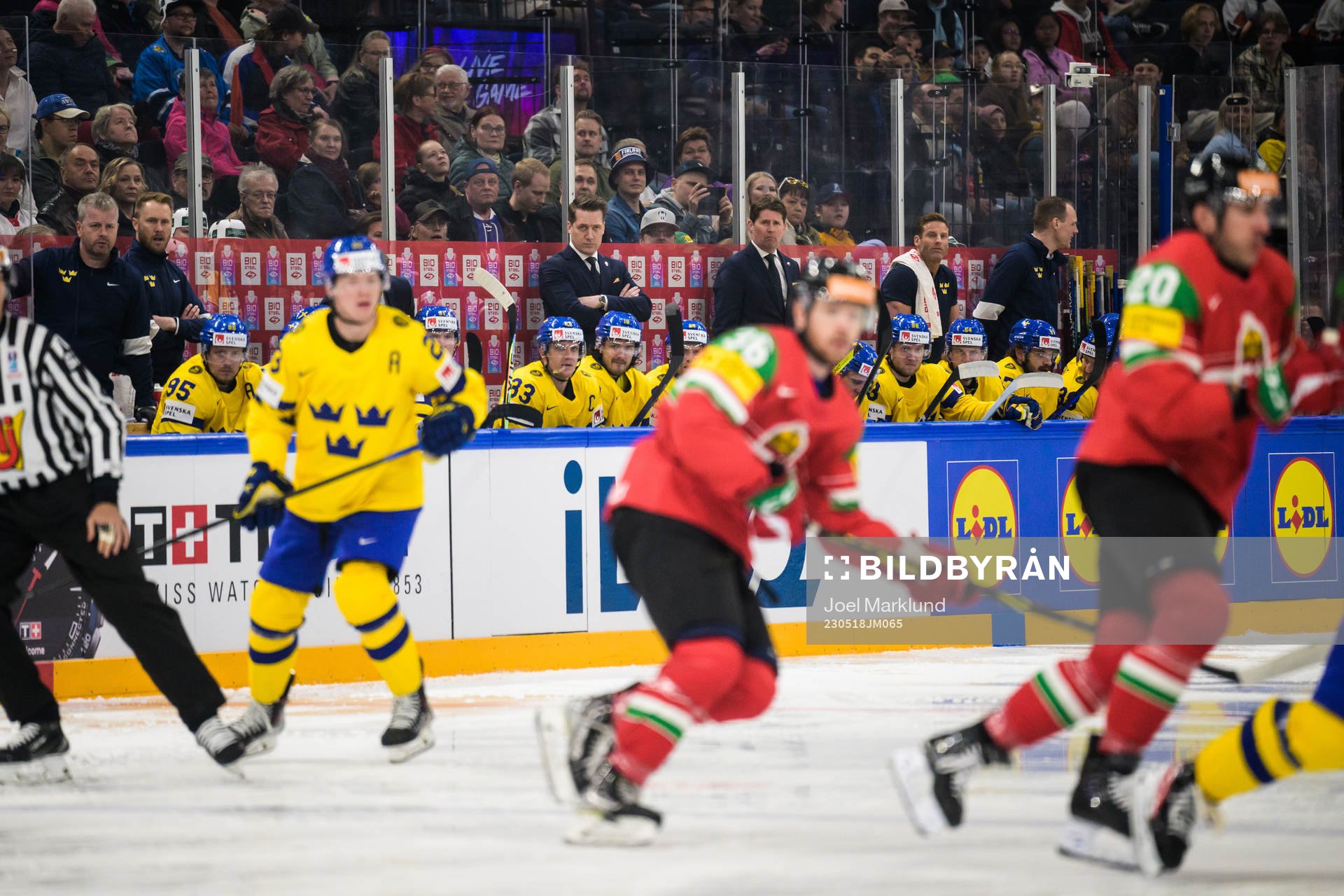 The bench of Sweden with head coach Sam Hallam and