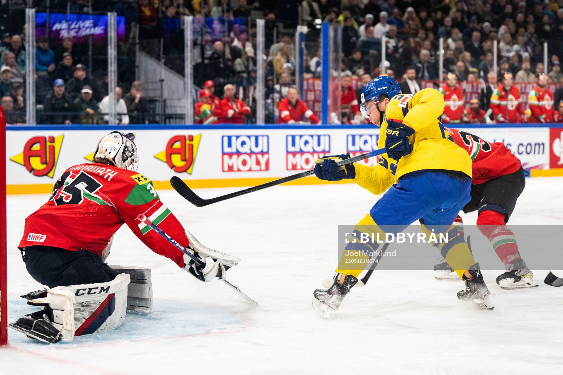 goaltender Dominik Horvath of Hungary and Lucas Raymond of