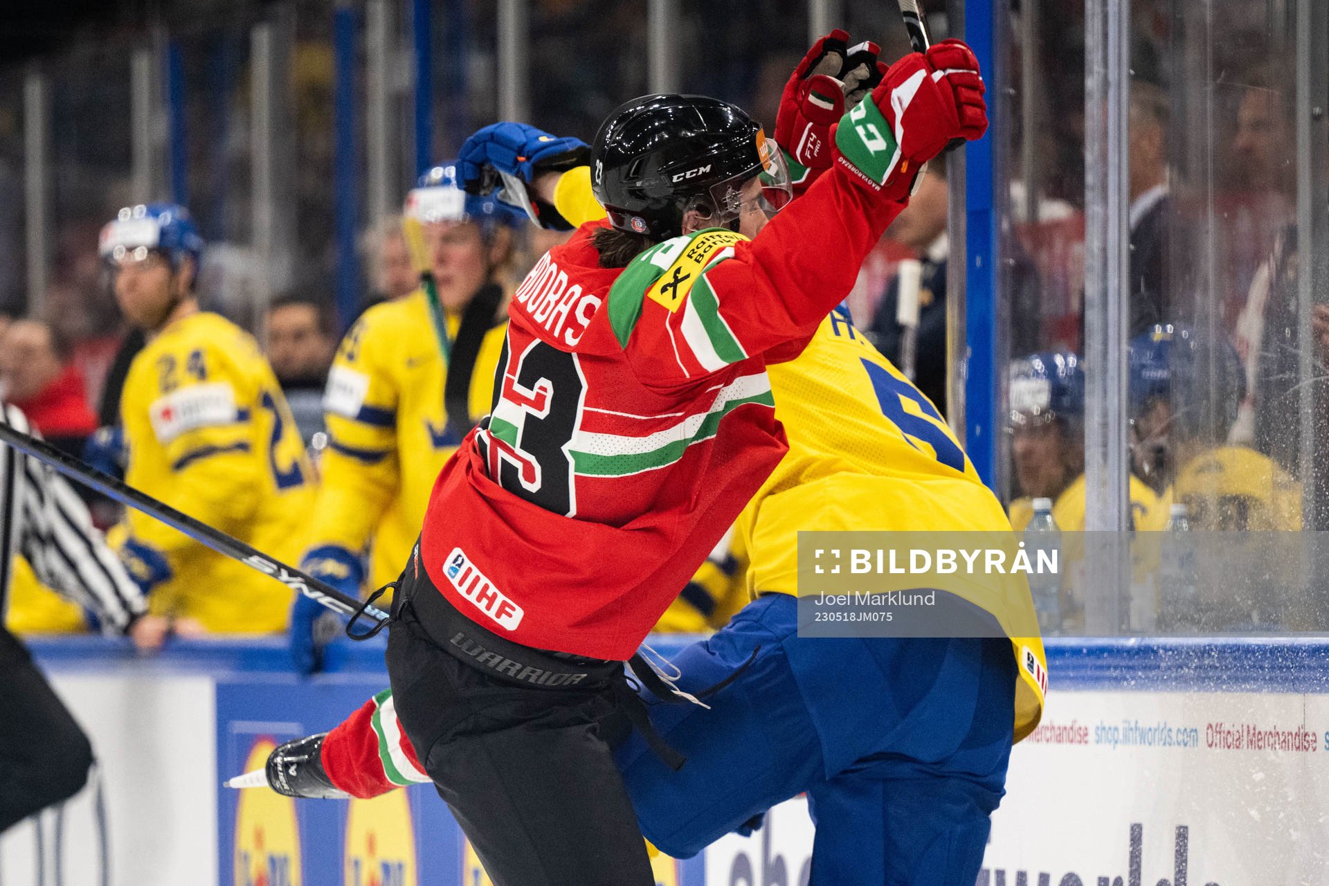 Zeteny Hadobas of Hungary and Anton Lindholm of Sweden