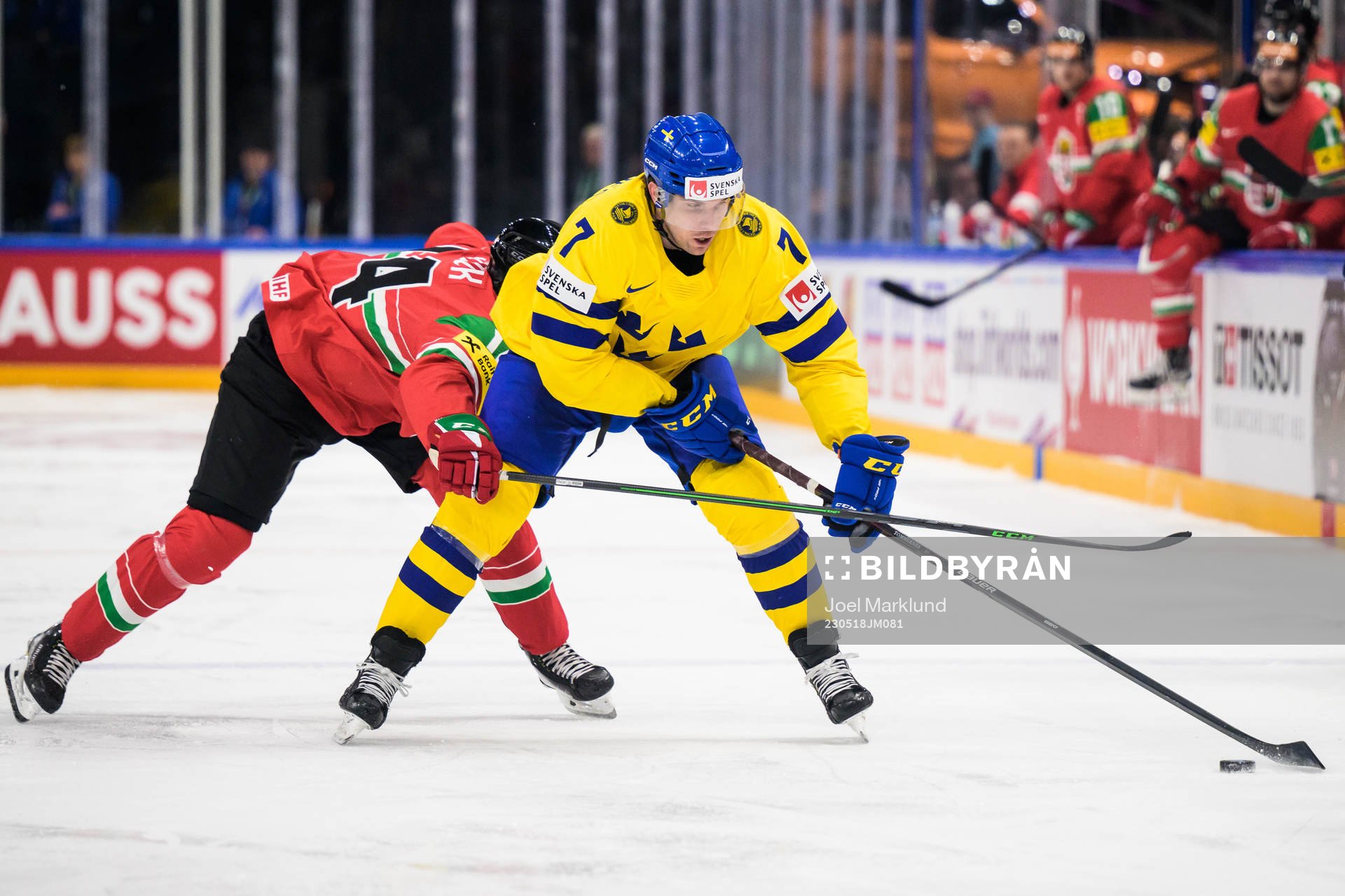 Balazs Sebok of Hungary and Henrik Tömmernes of Sweden