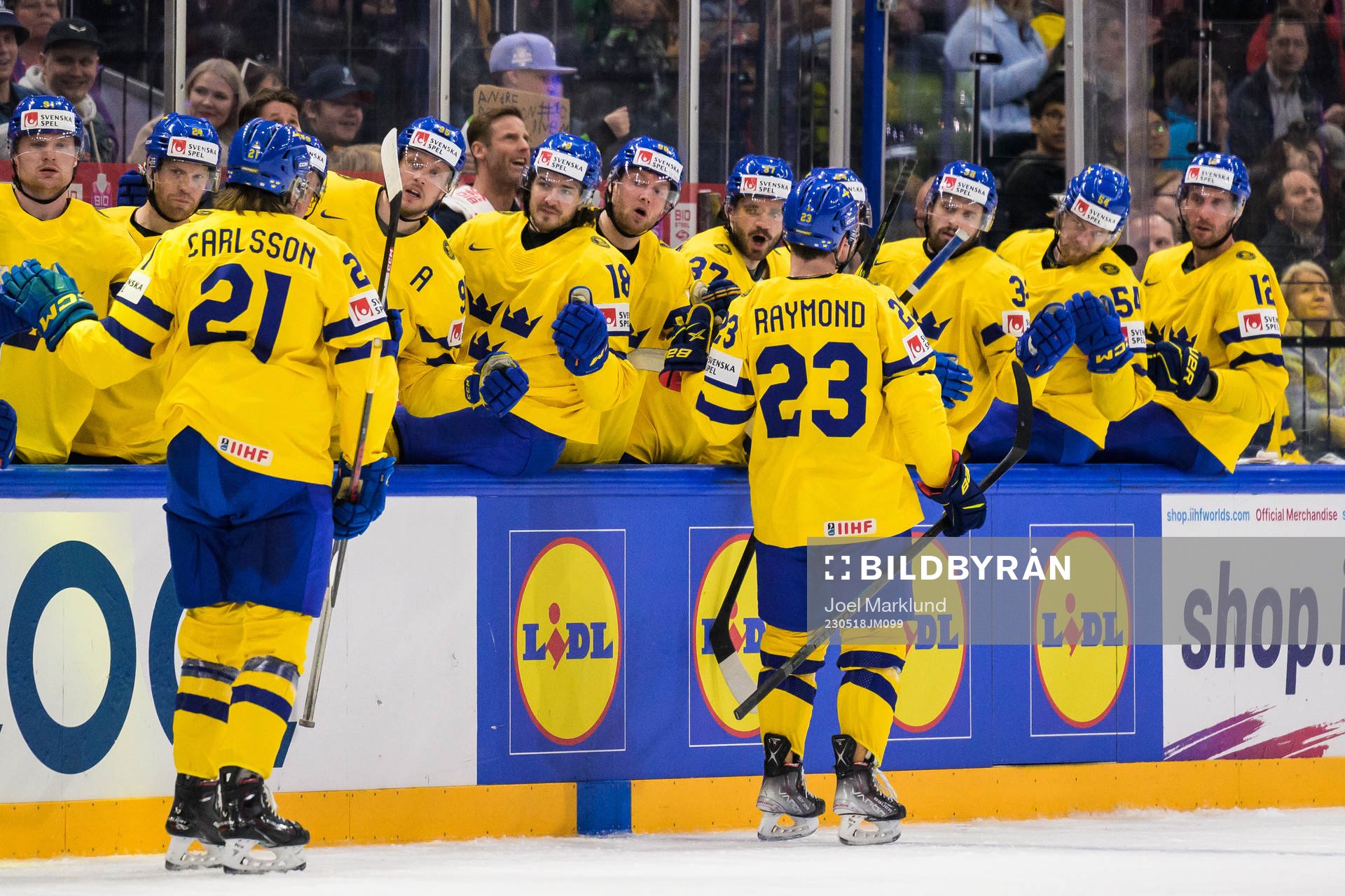 Lucas Raymond of Sweden celebrates with teammates