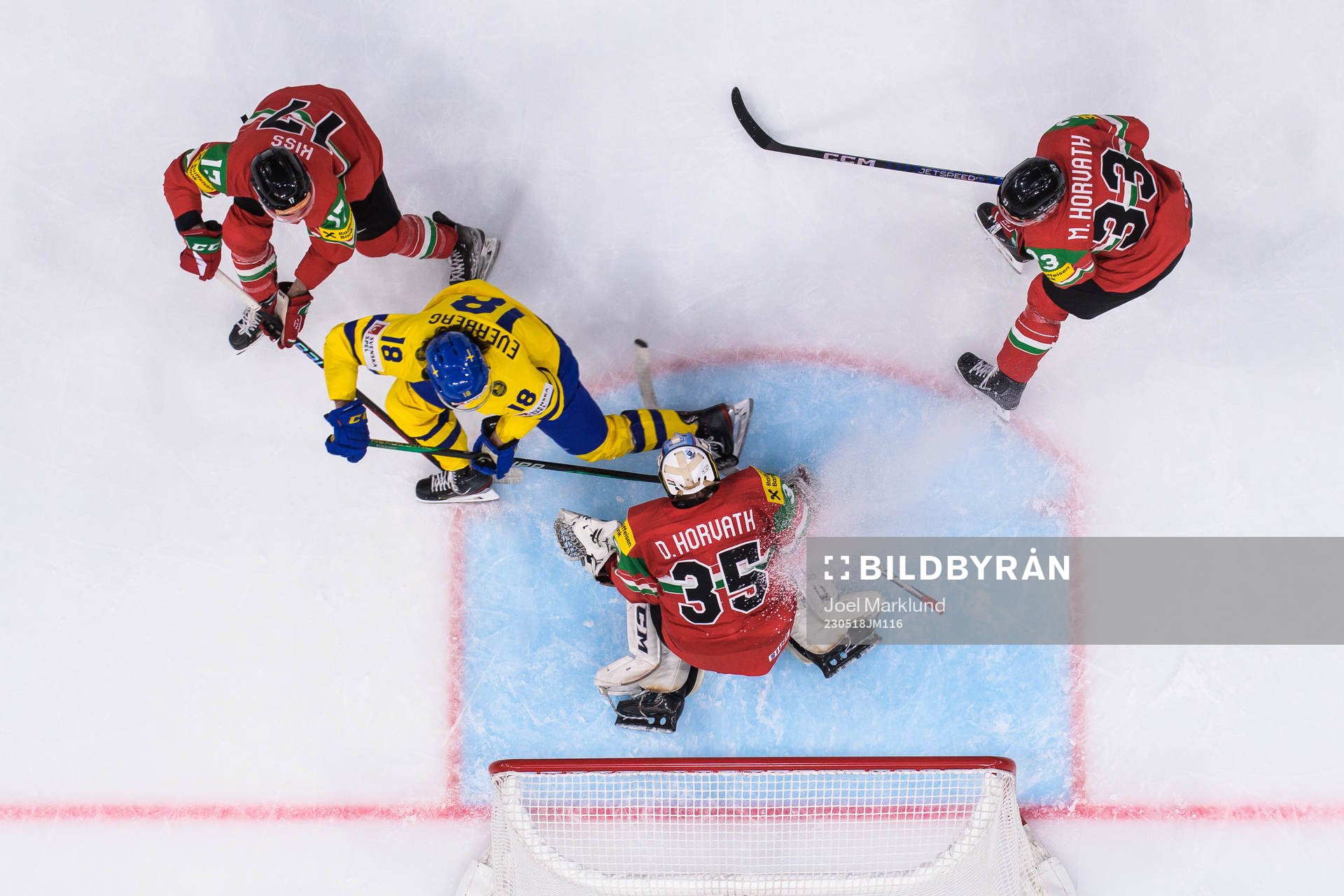 Roland Kiss, goaltender Dominik Horvath and Milan Horvath