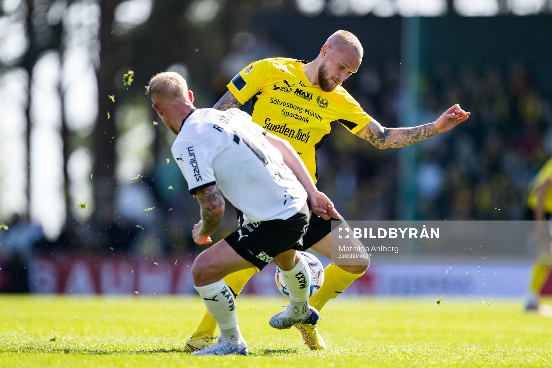 Mjällbys Adam Ståhl