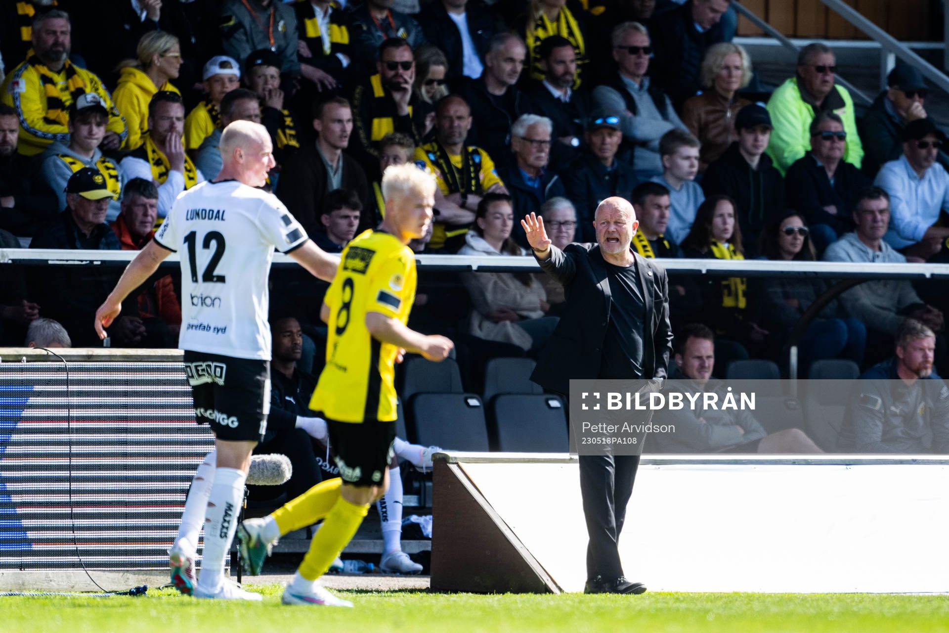 Häckens tränare Per-Mathias Høgmo