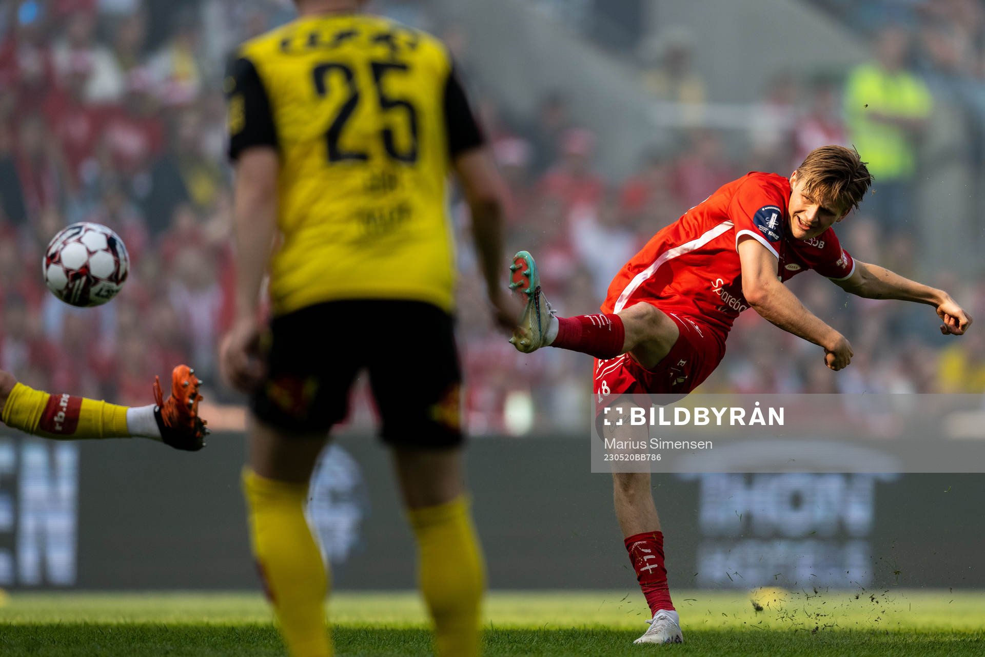 David Møller Wolfe of Brann