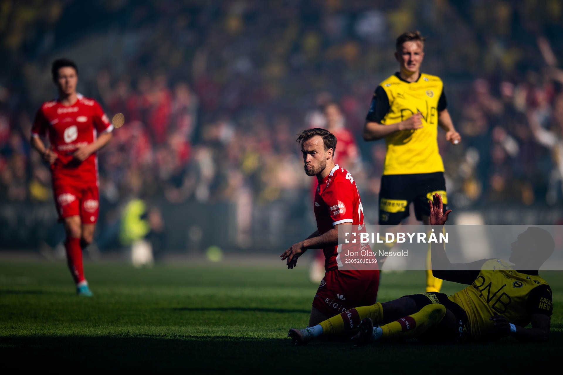 Bård Finne of Brann