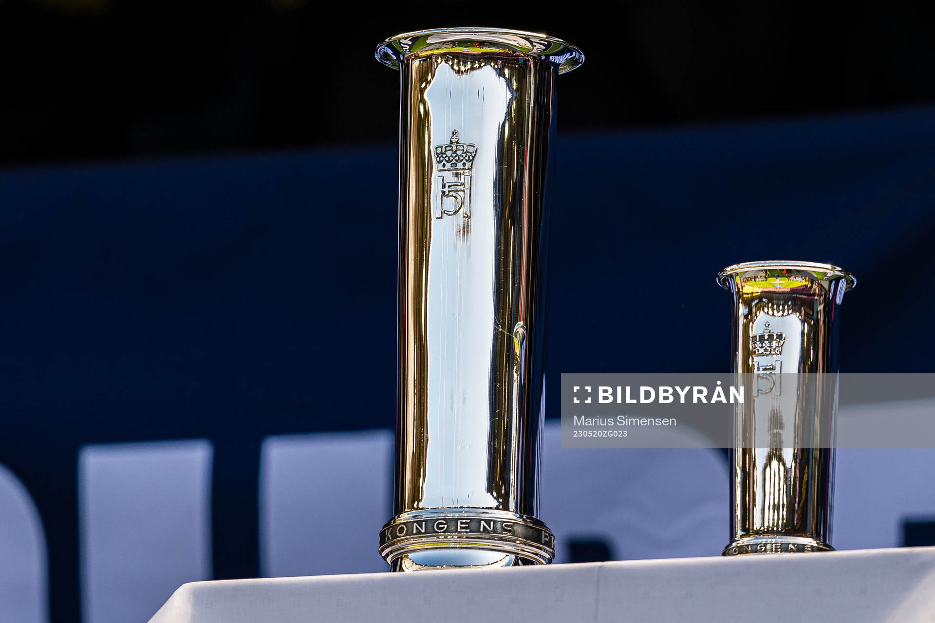 The trophy
