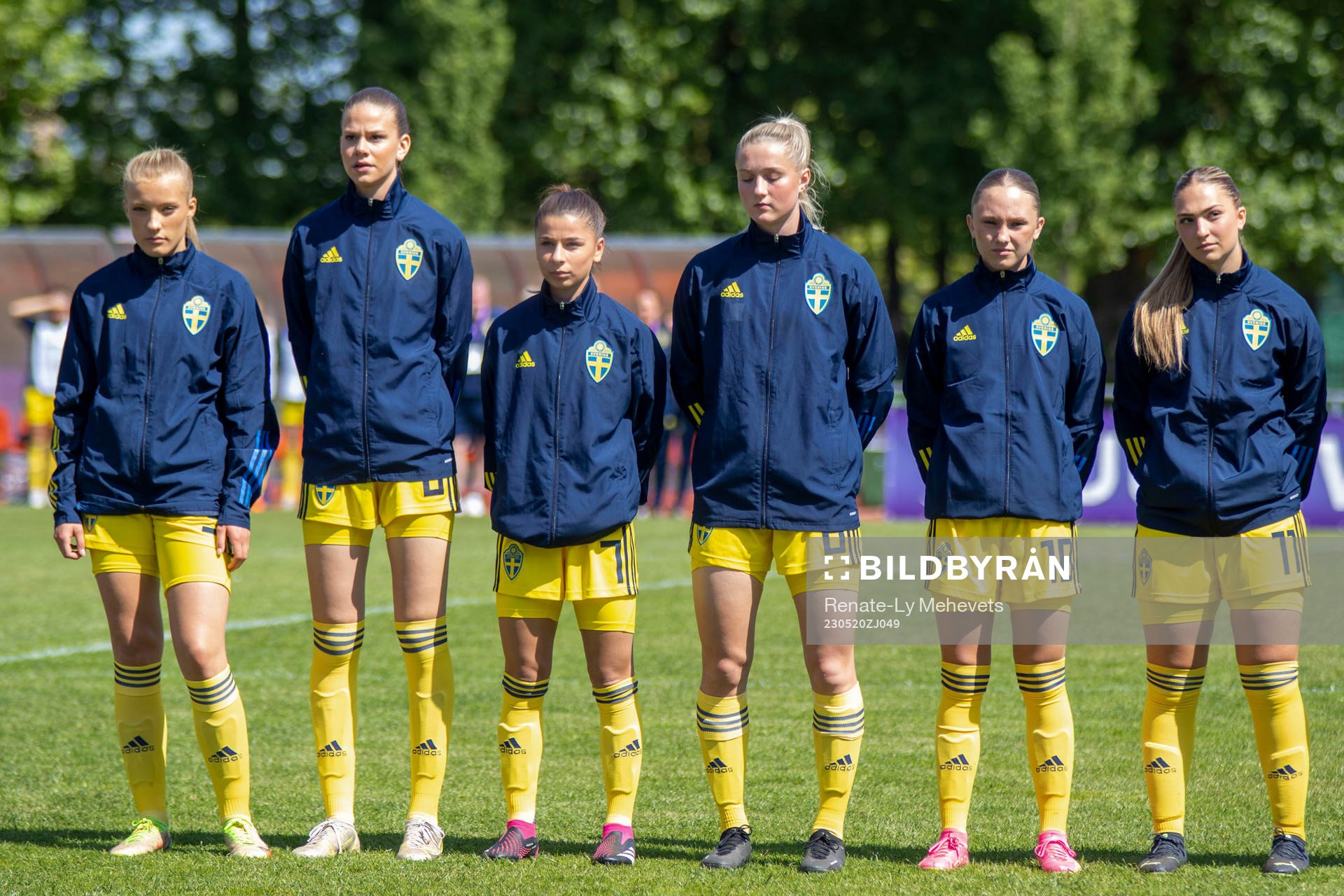 Players of Sweden