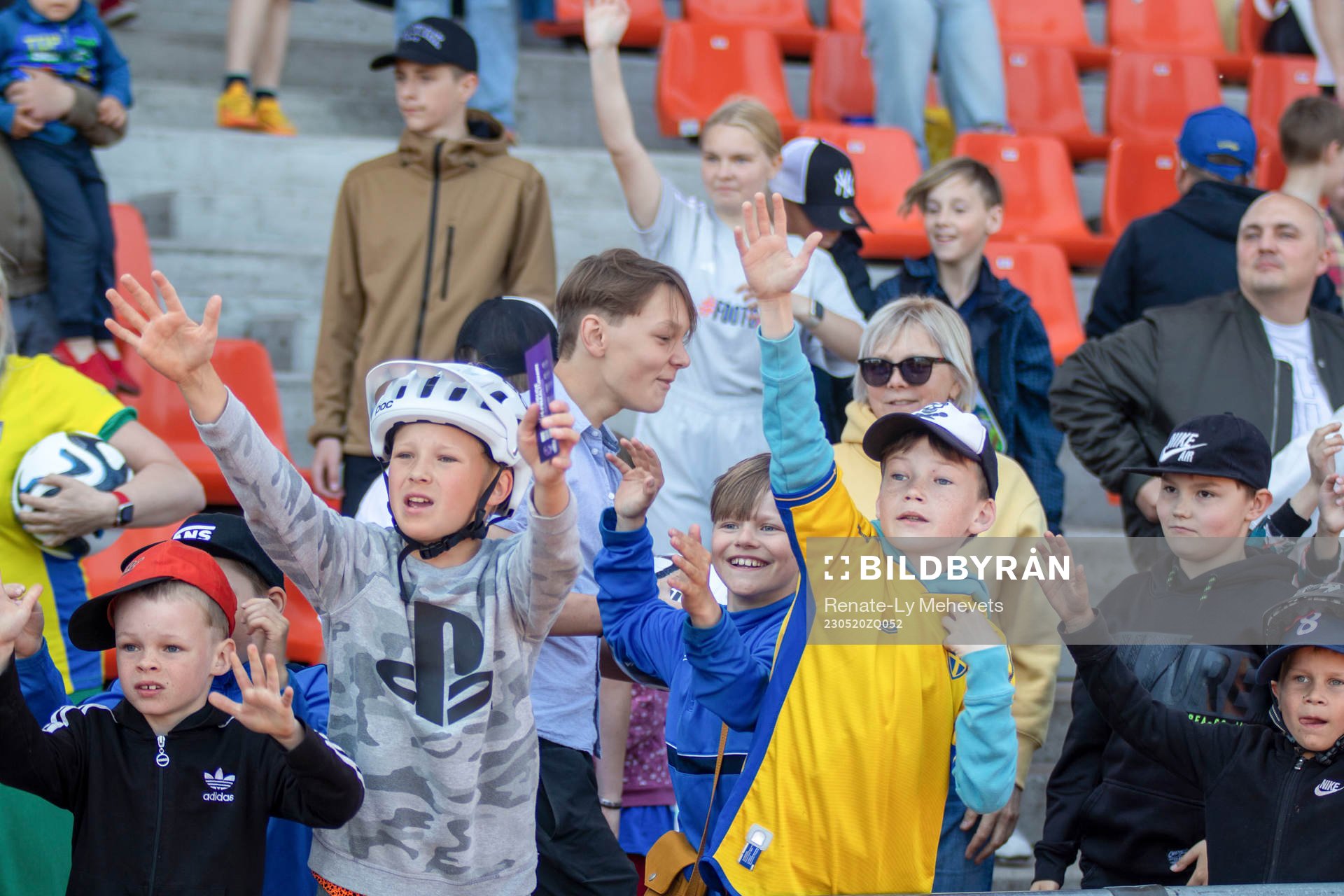 Fans of Sweden