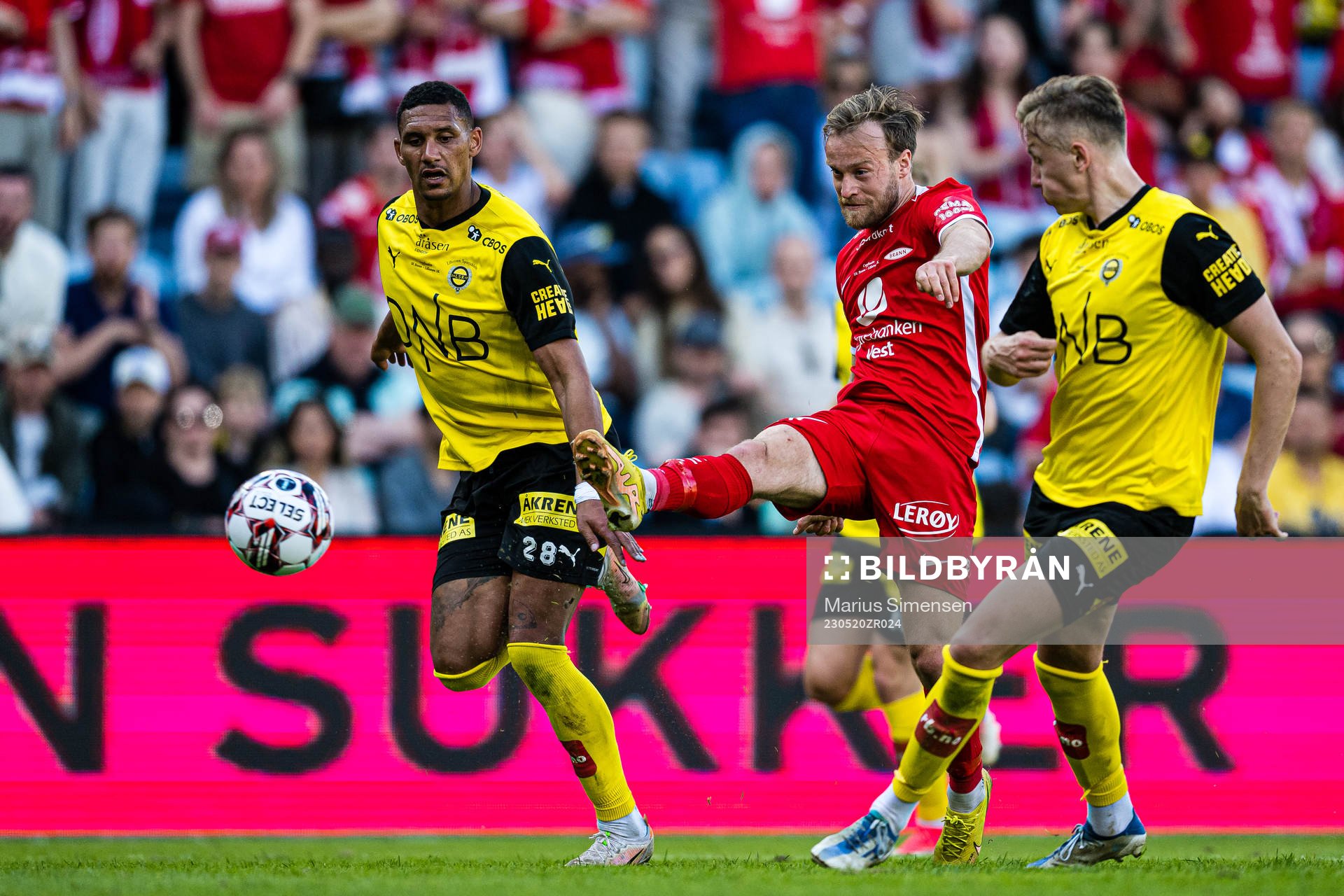 Bård Finne of Brann